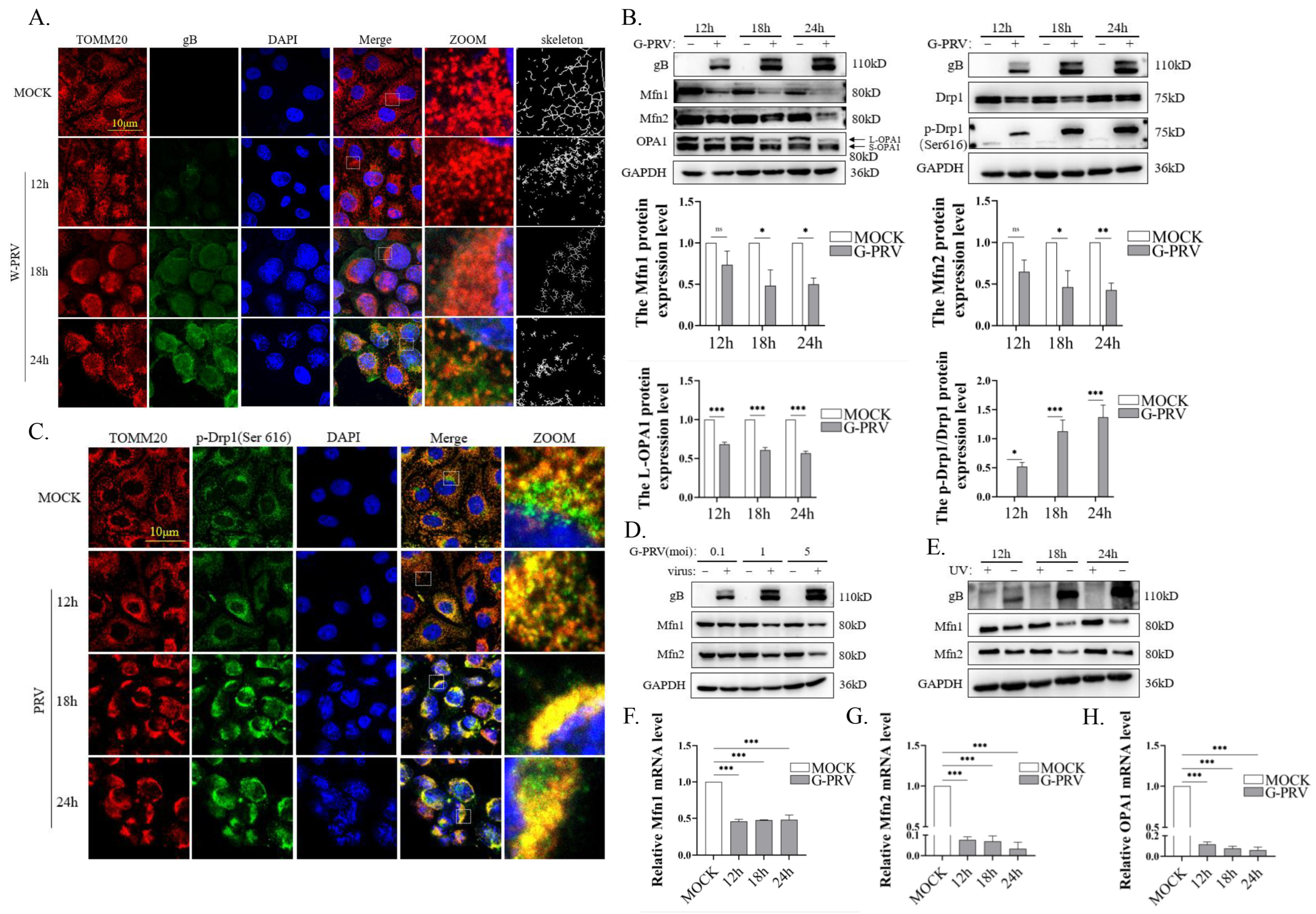 Vetsci 12 00368 g001