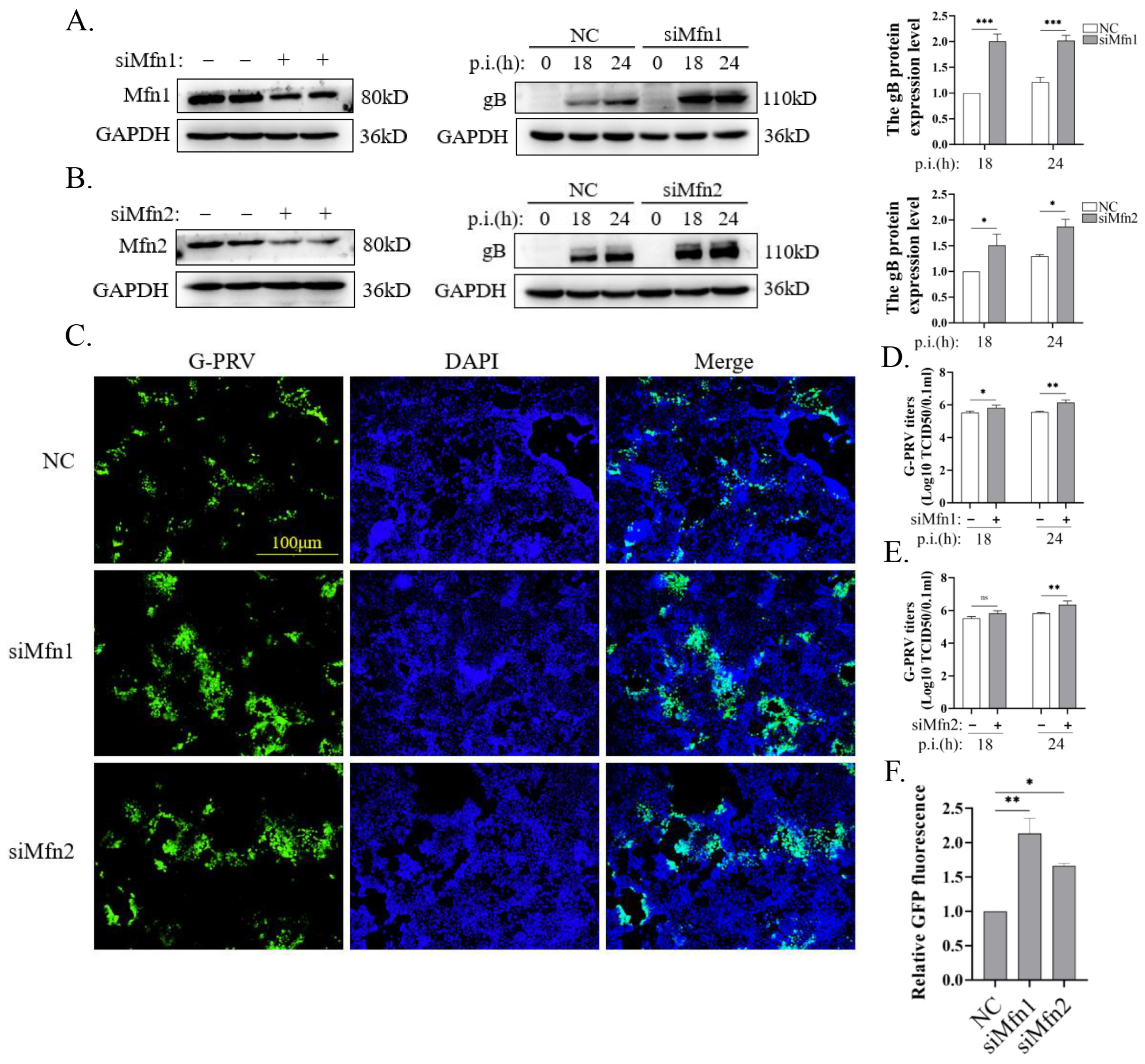 Vetsci 12 00368 g003