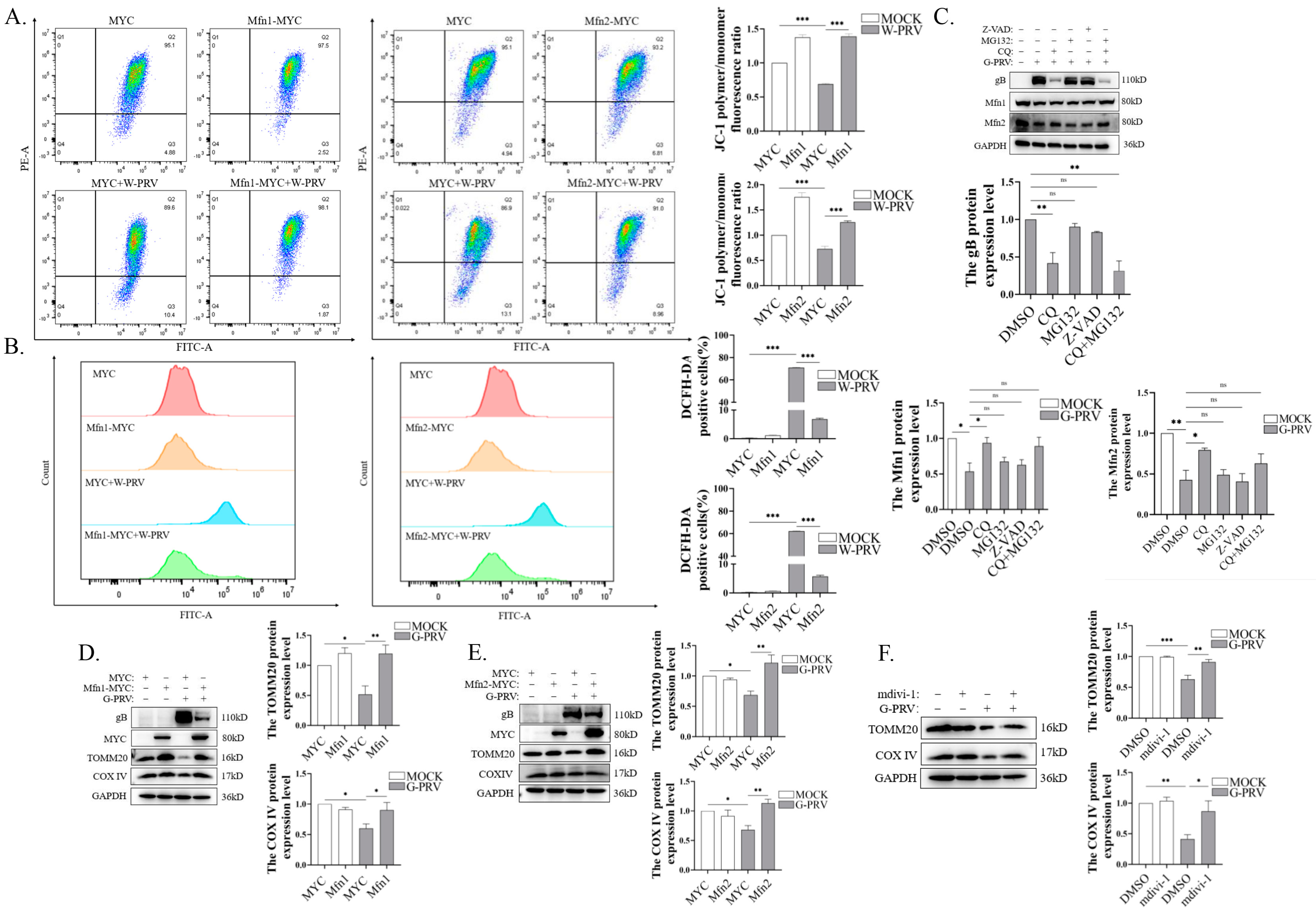 Vetsci 12 00368 g004