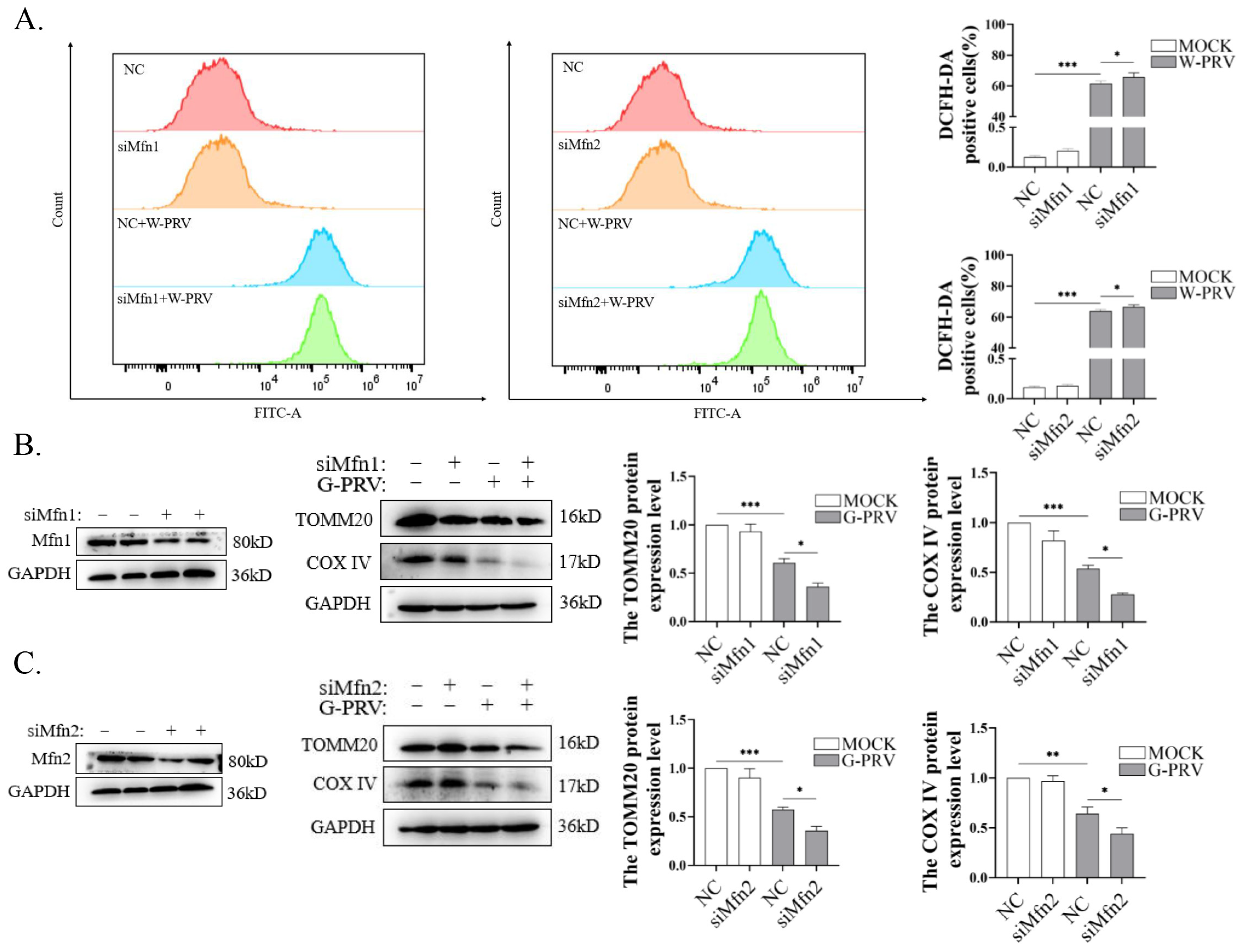 Vetsci 12 00368 g005
