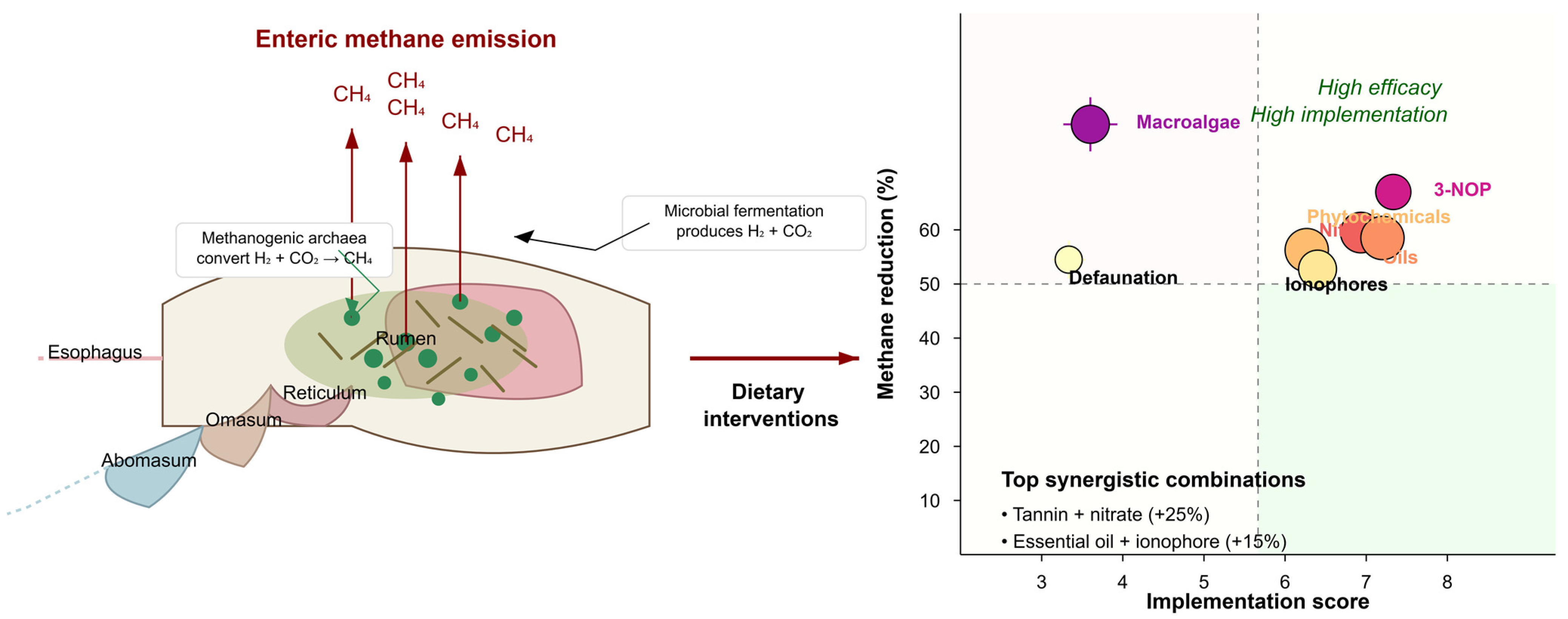 Vetsci 12 00372 g001