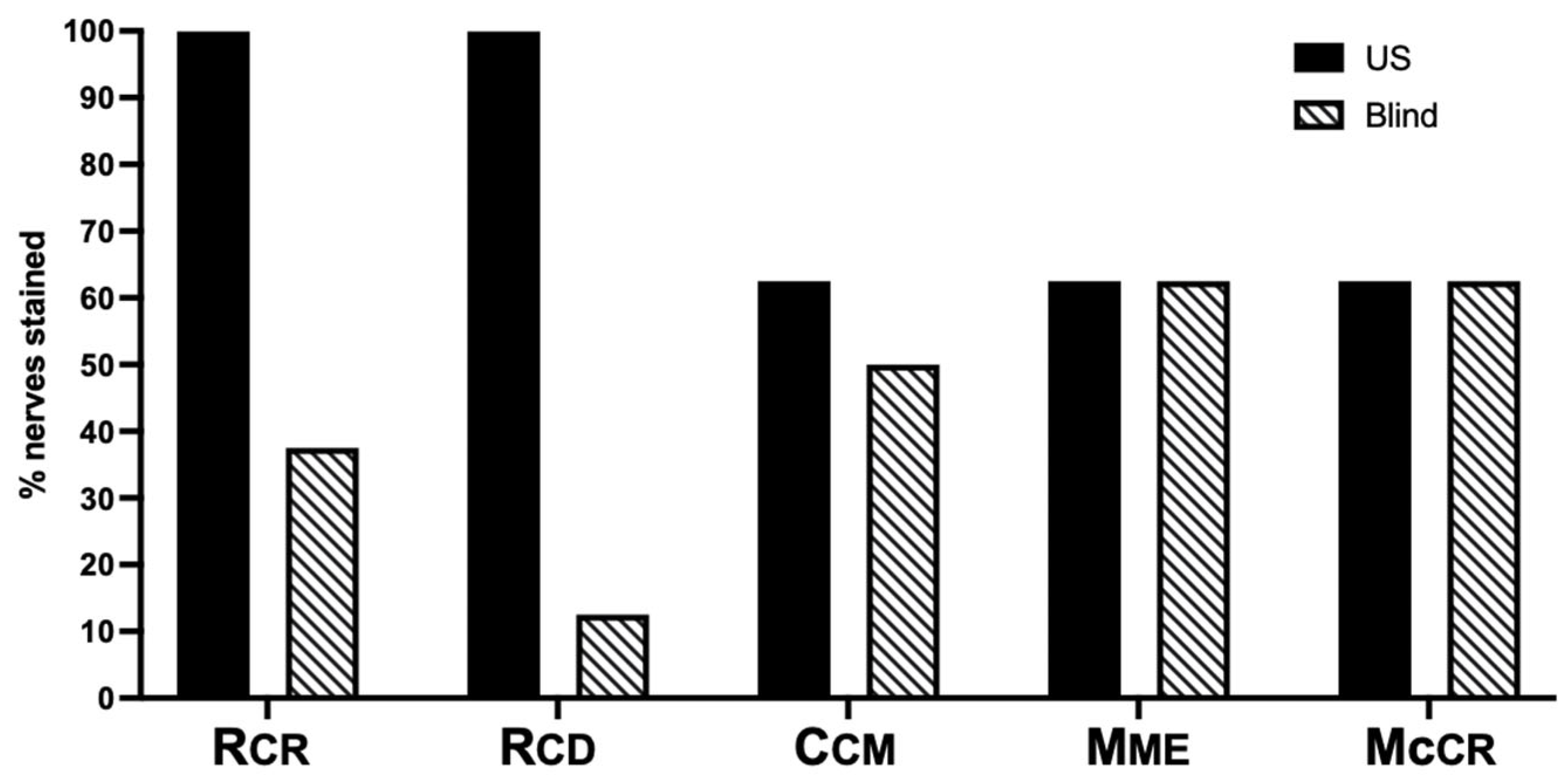 Vetsci 12 00374 g007