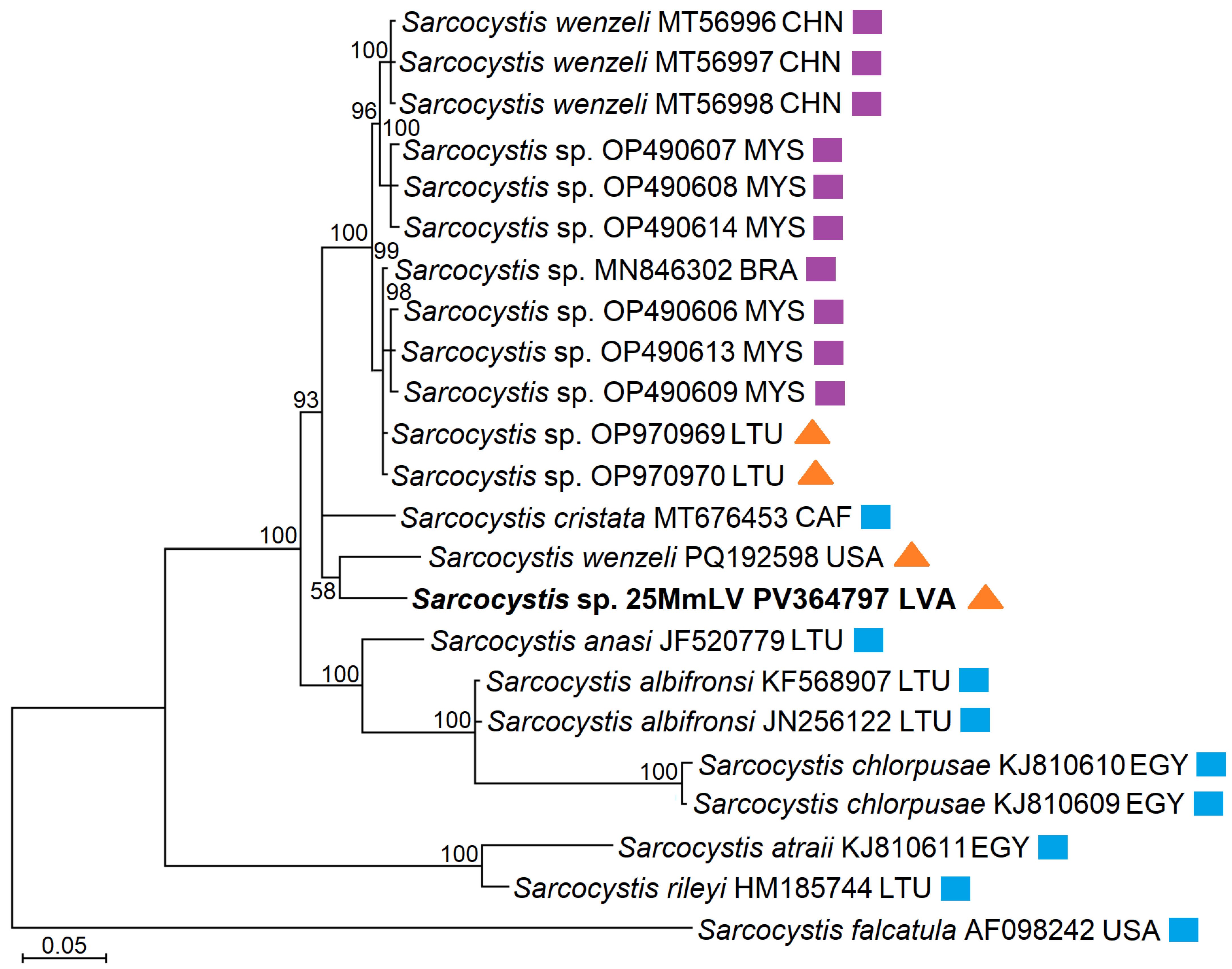 Vetsci 12 00379 g002