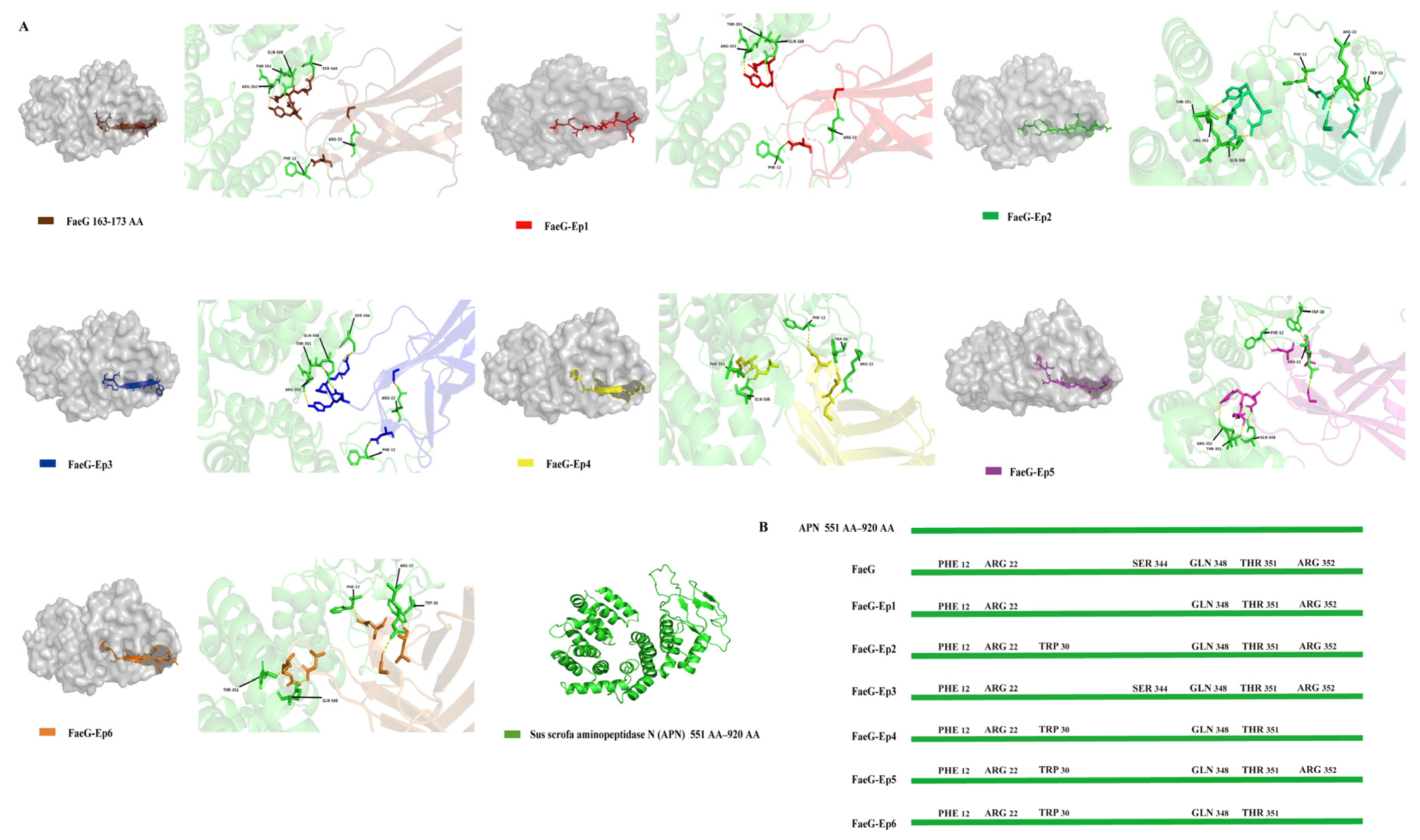 Vetsci 12 00381 g002