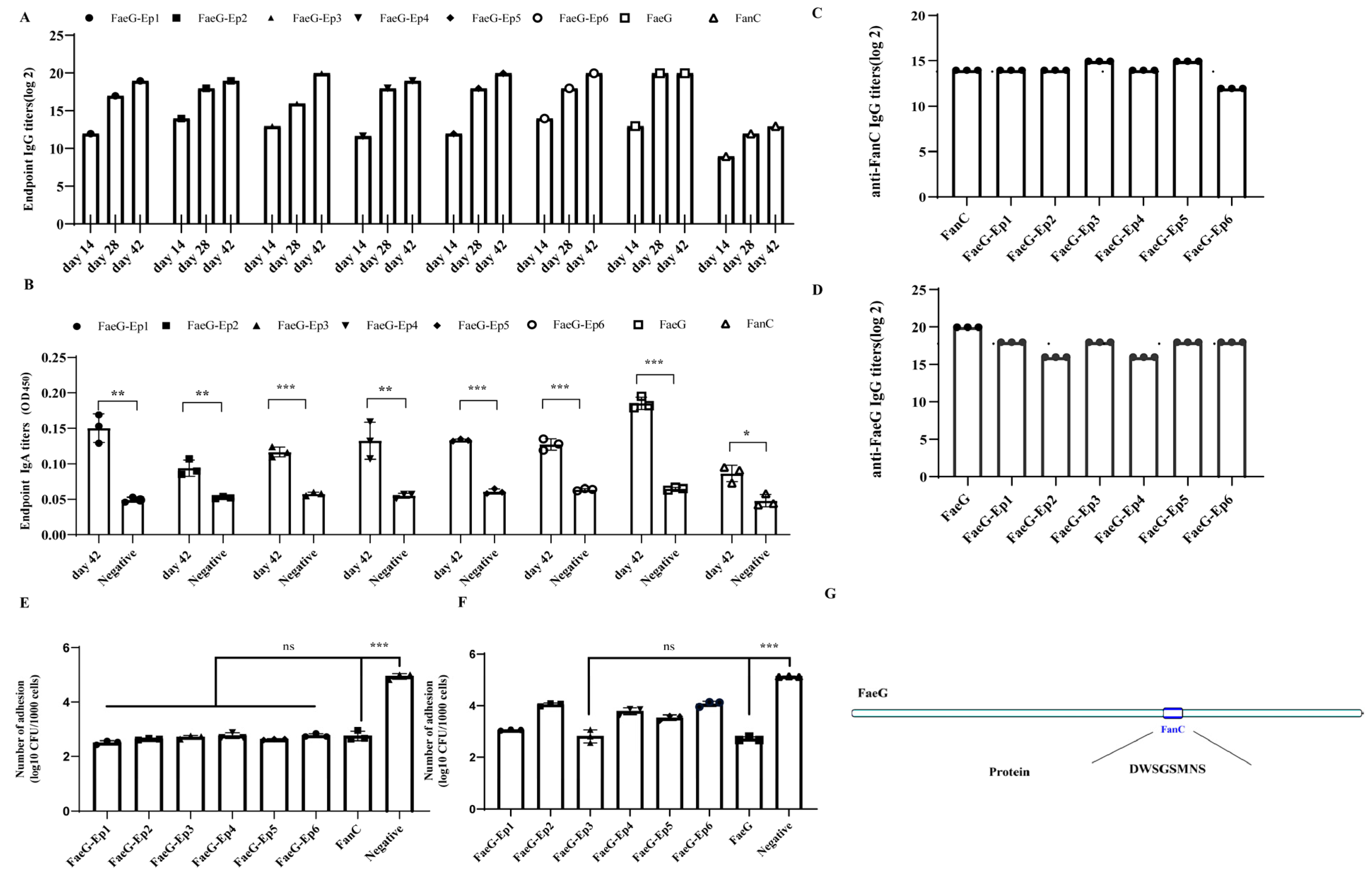 Vetsci 12 00381 g004