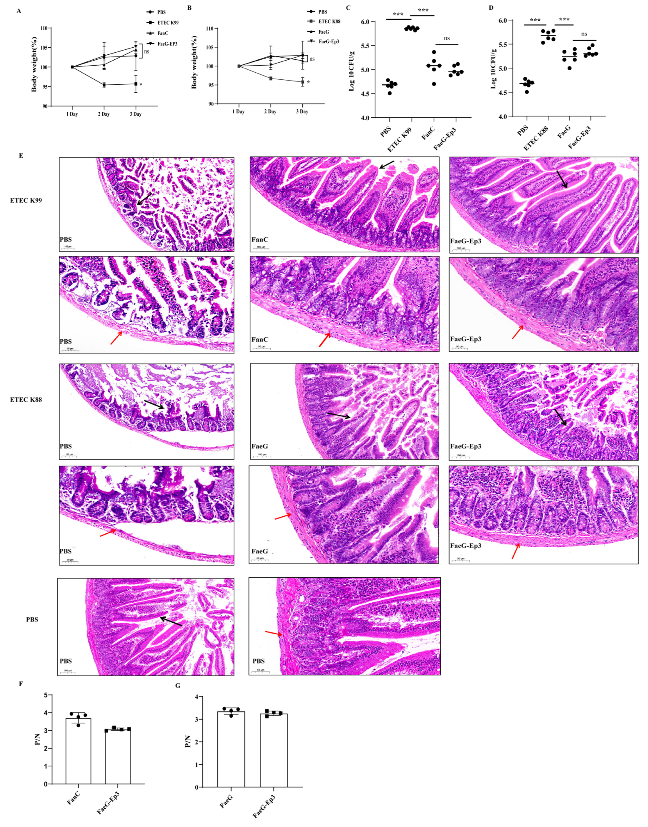 Vetsci 12 00381 g005