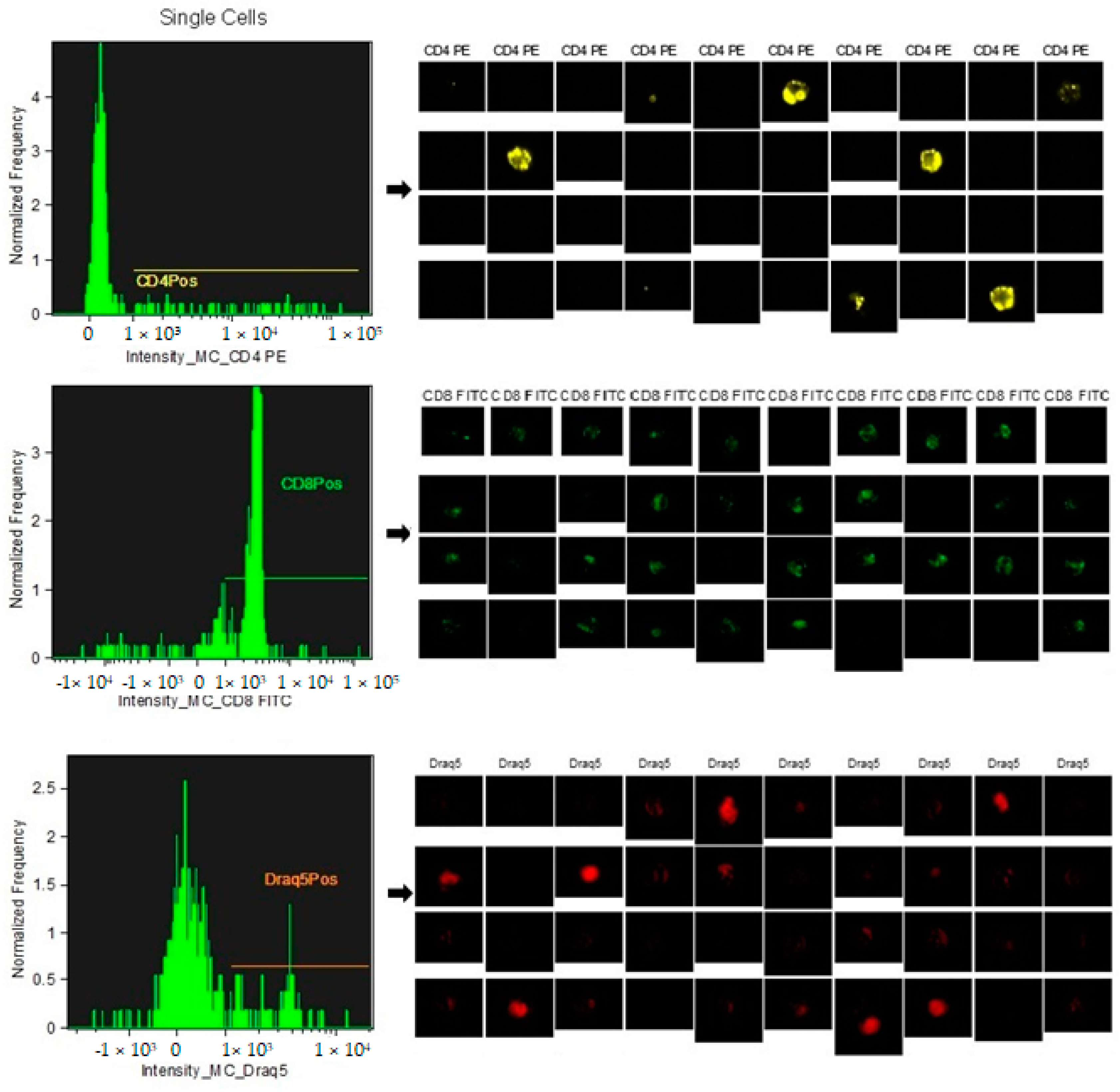 Vetsci 12 00386 g003