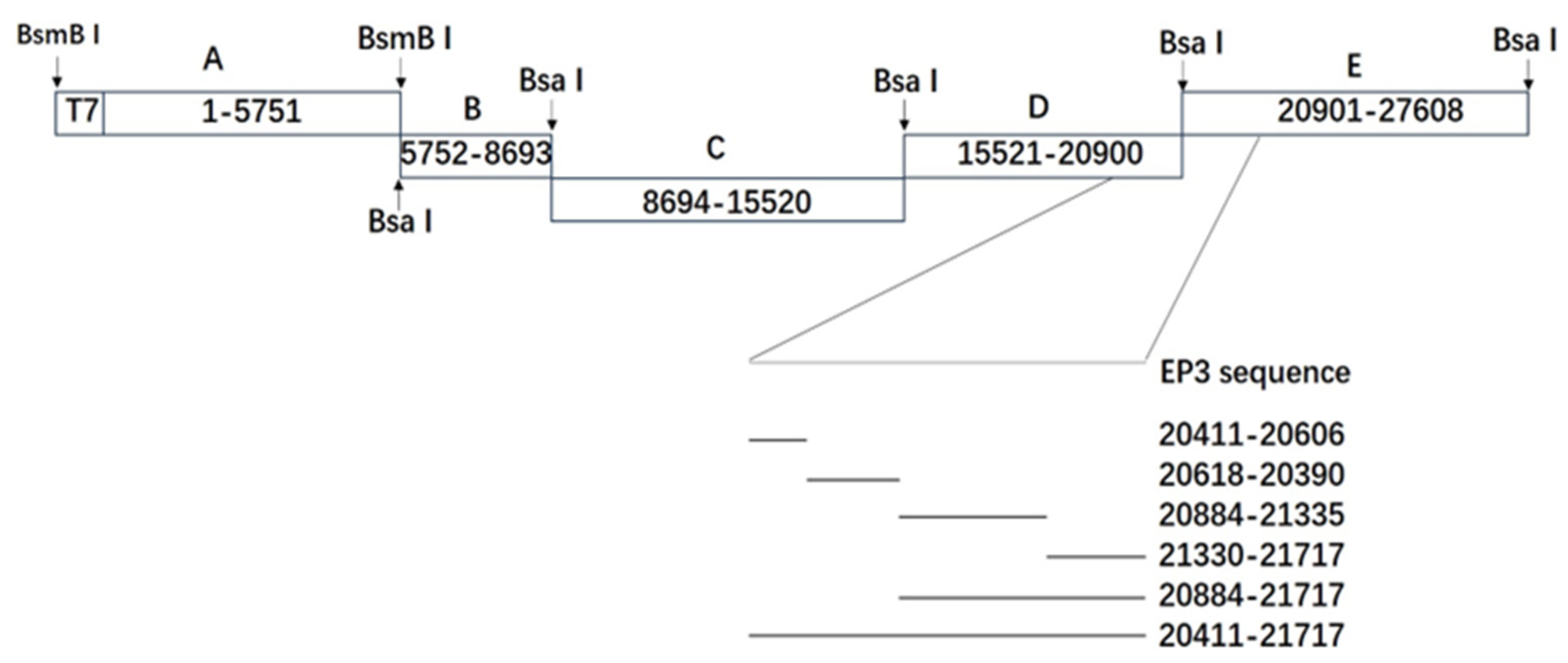 Vetsci 12 00394 g001