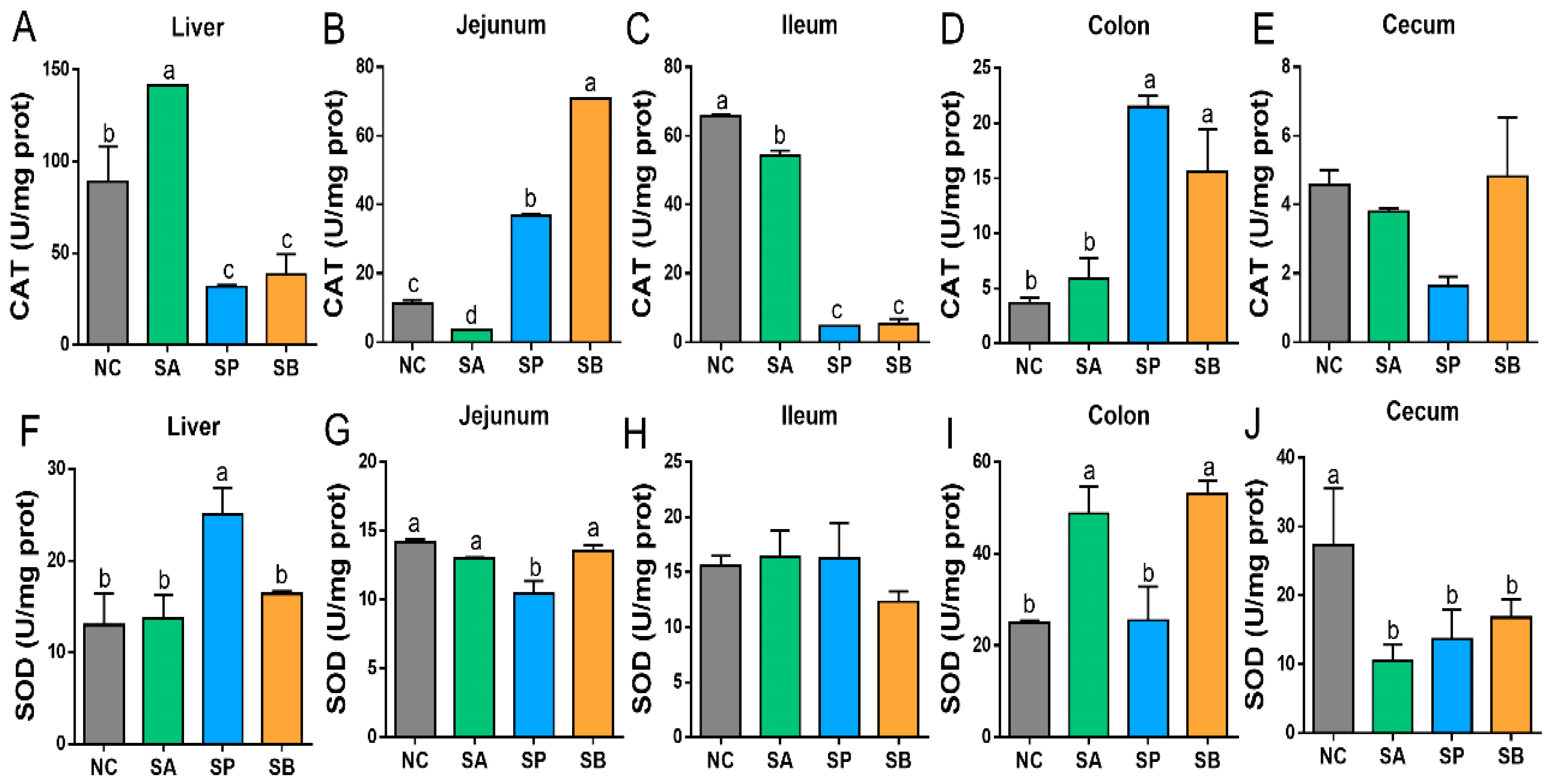 Vetsci 12 00395 g002