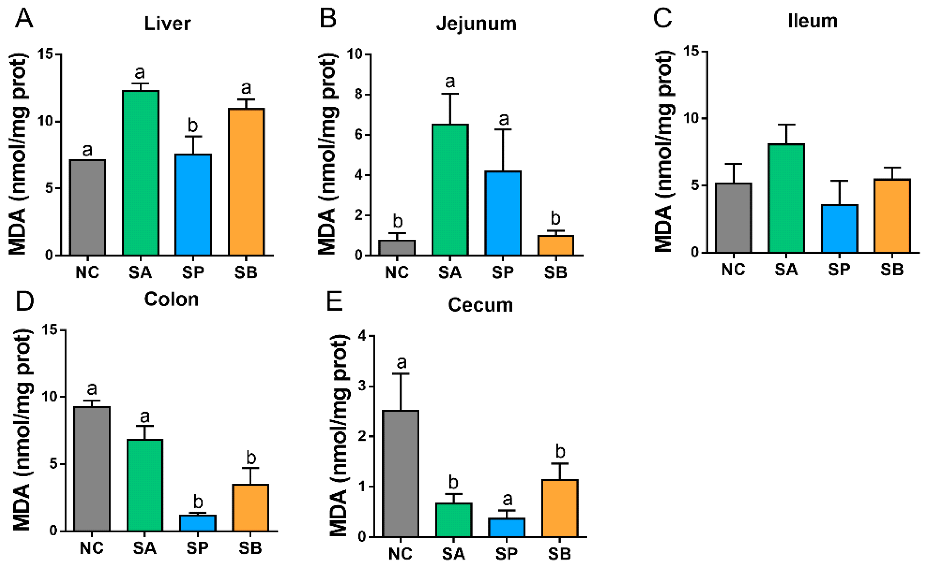 Vetsci 12 00395 g004