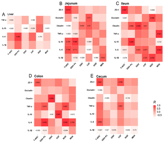 Gastric Infusion of Short-Chain Fatty Acids Improves Health via