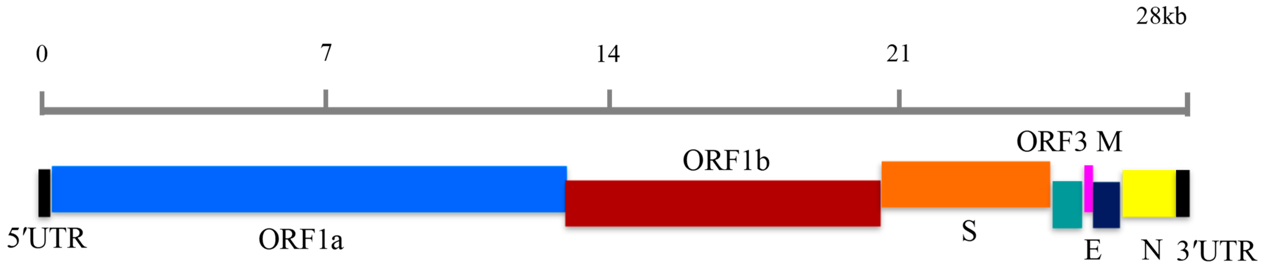 Vetsci 12 00399 g001