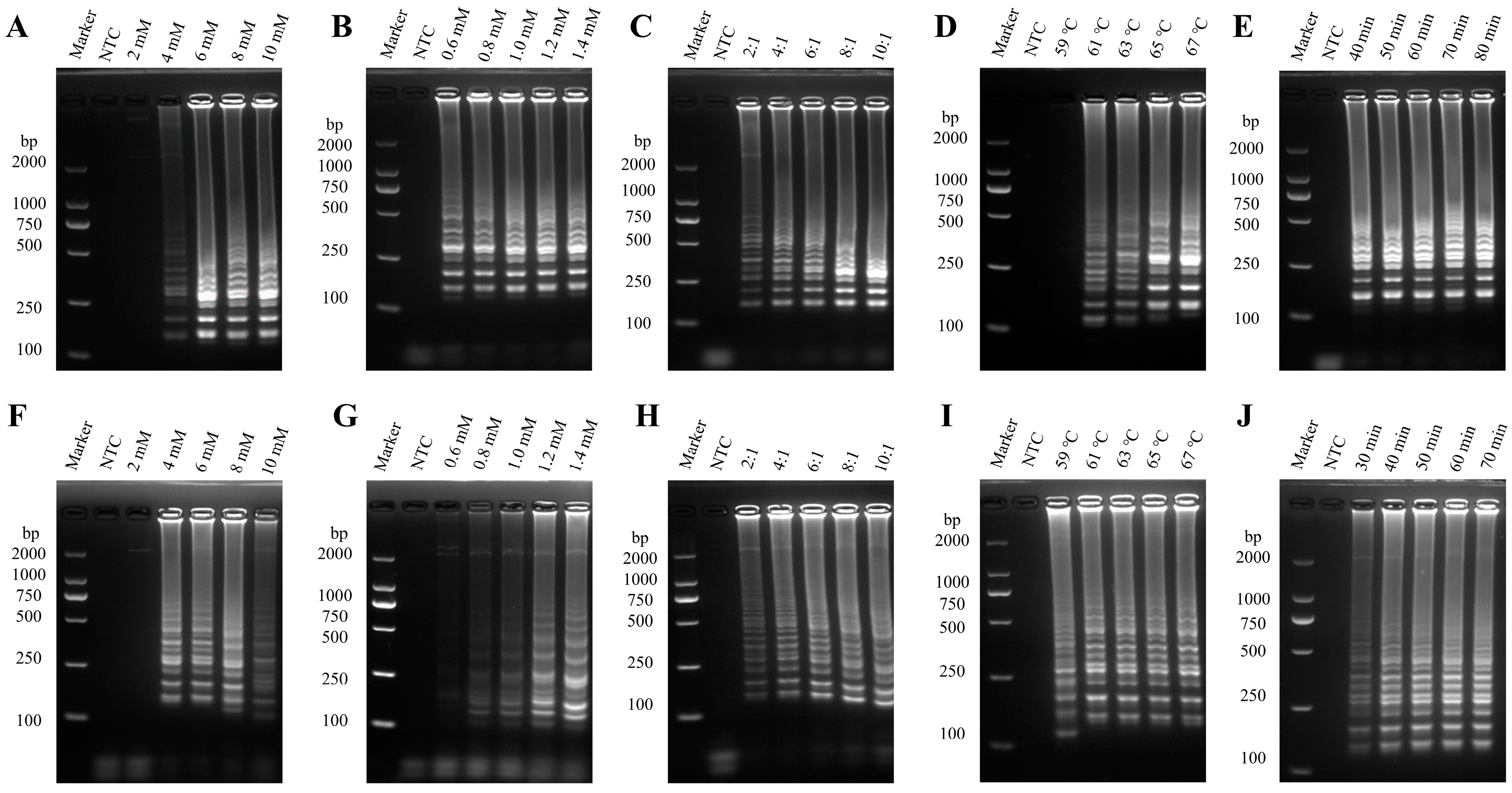 Vetsci 12 00399 g002