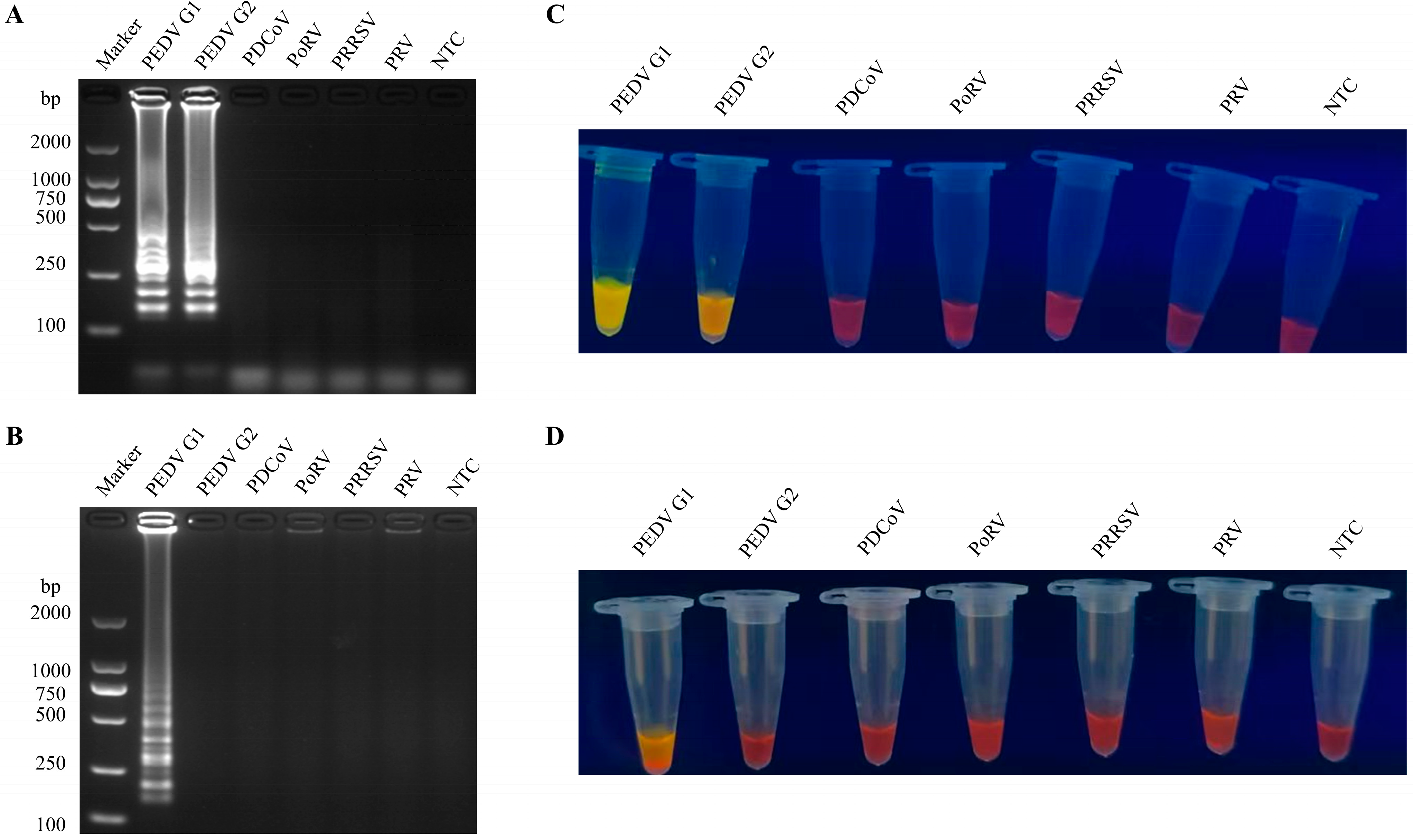Vetsci 12 00399 g003