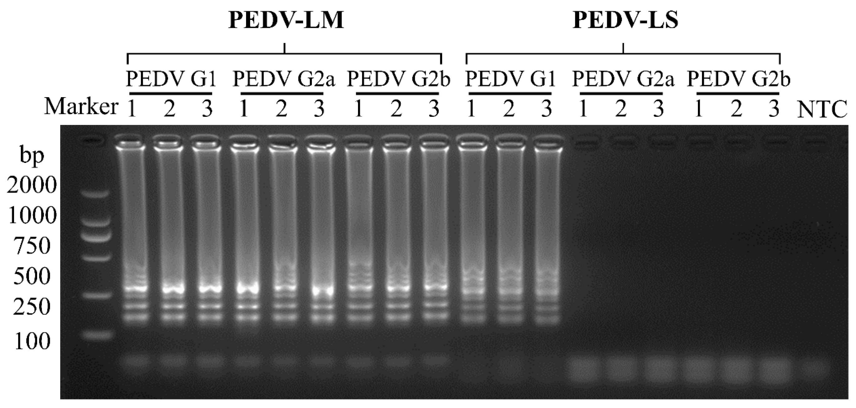Vetsci 12 00399 g005
