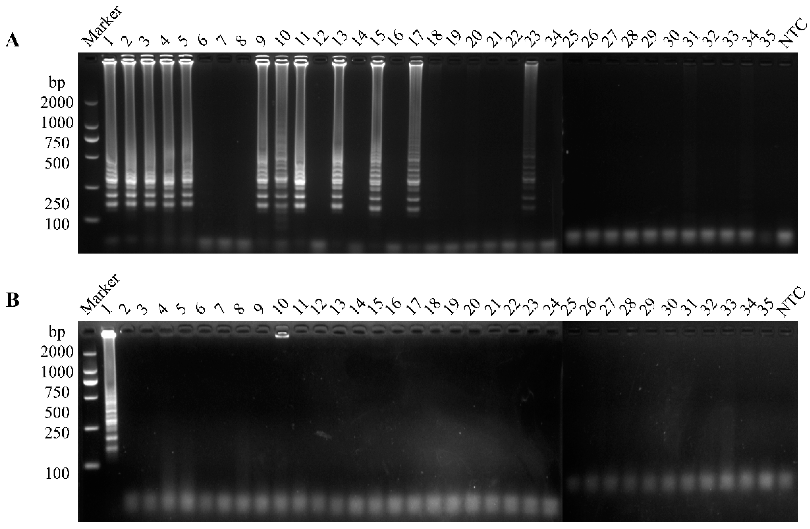 Vetsci 12 00399 g006