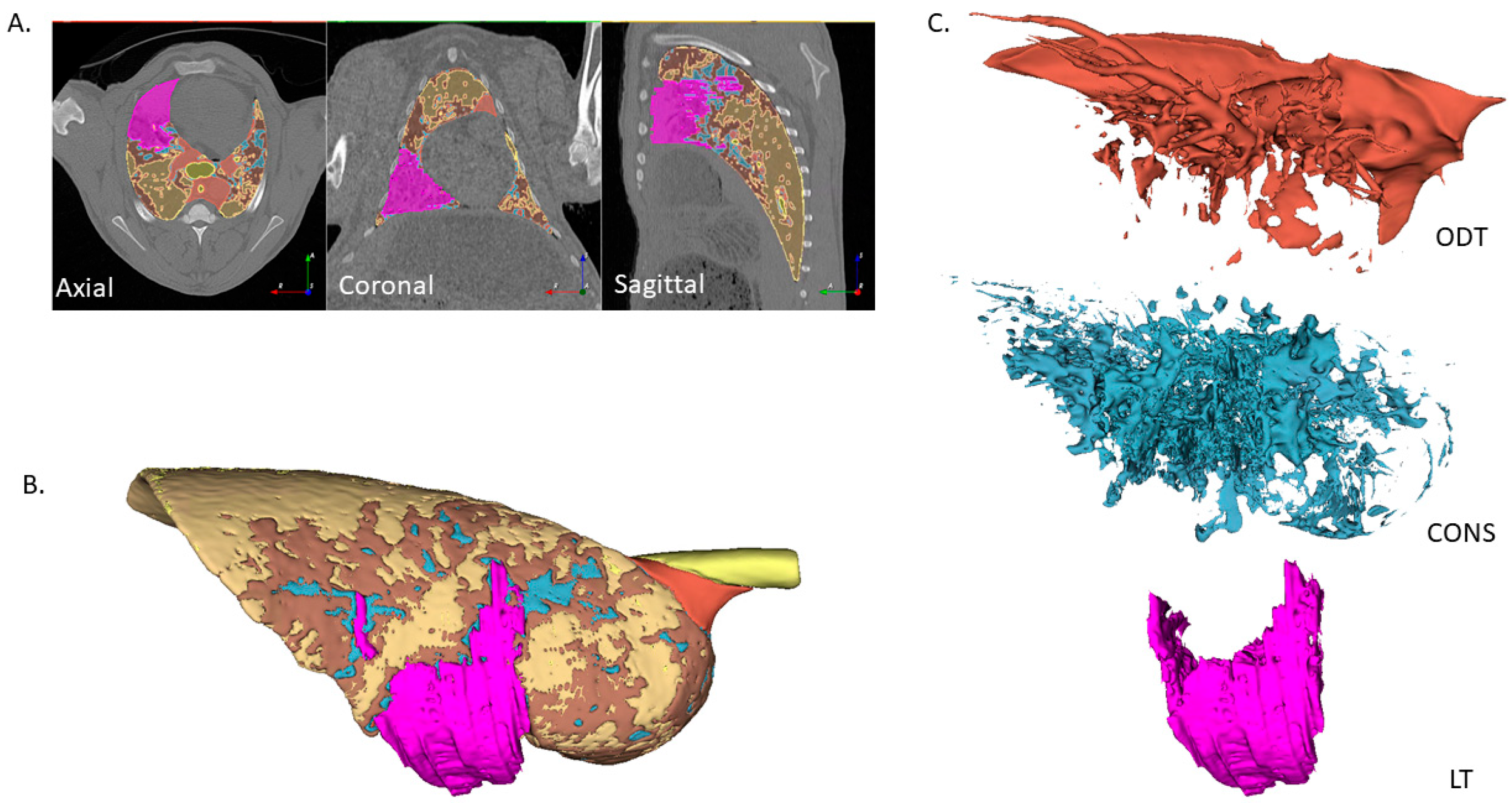 Vetsci 12 00400 g003