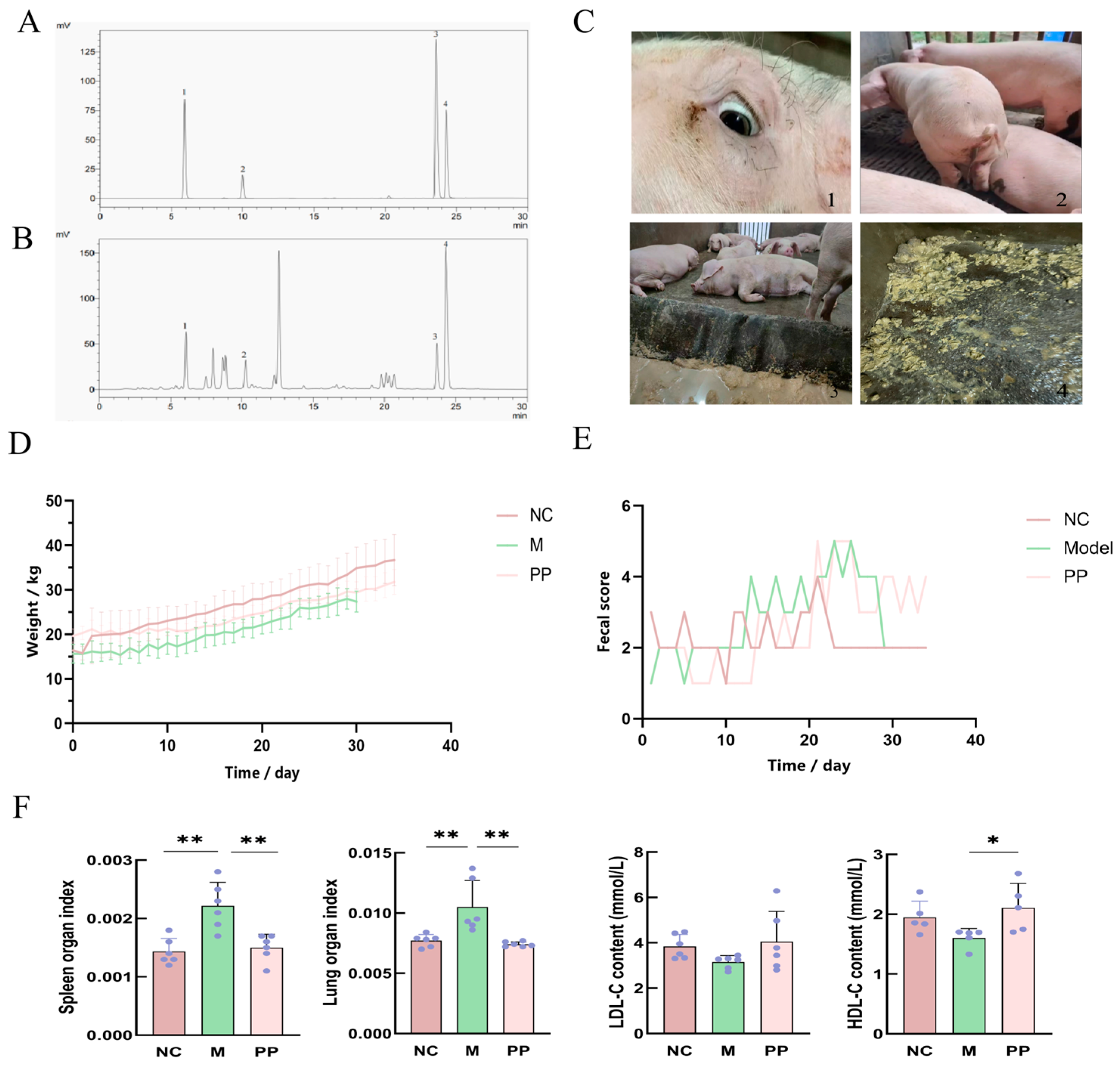 Vetsci 12 00403 g002