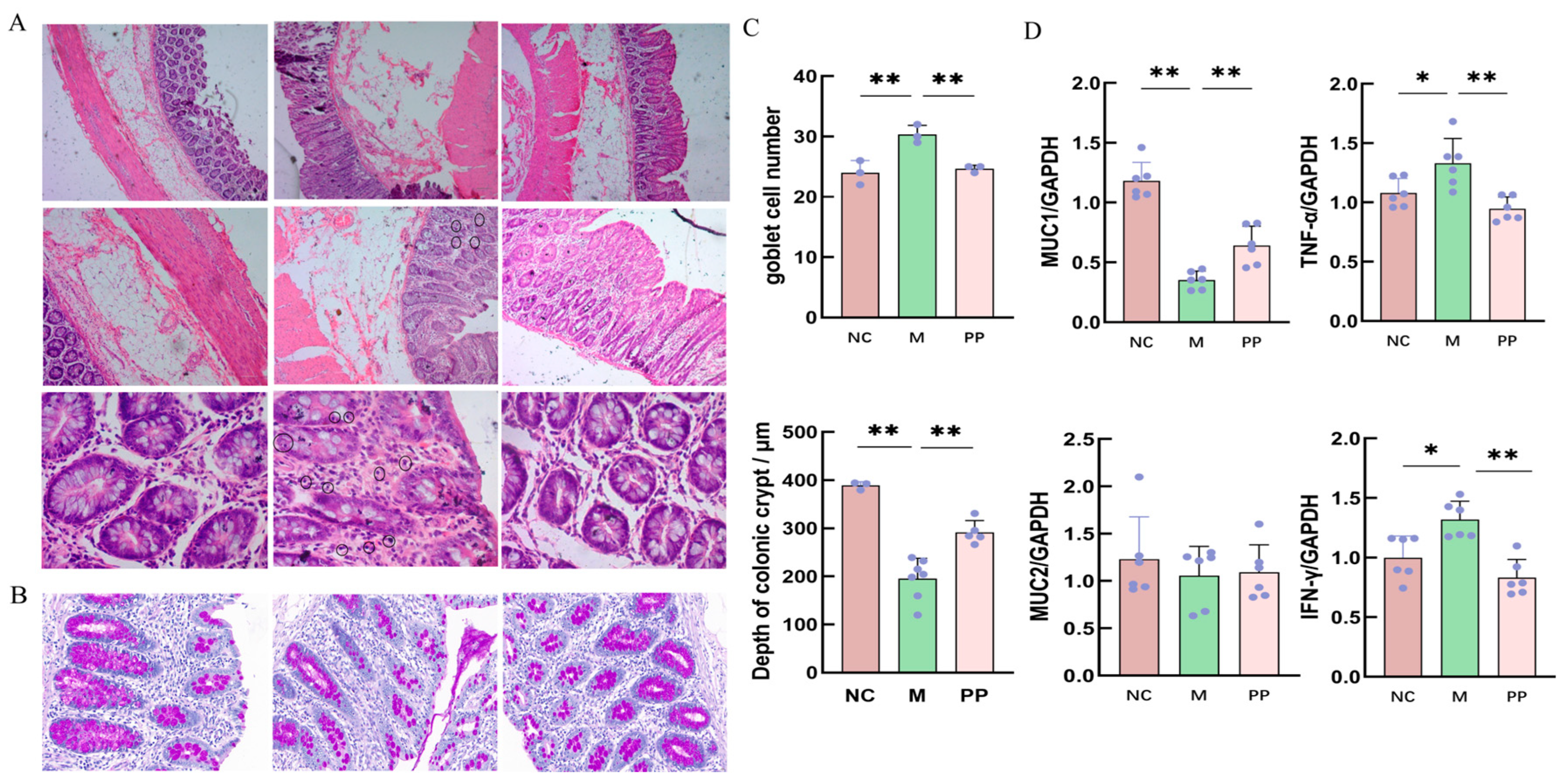 Vetsci 12 00403 g003