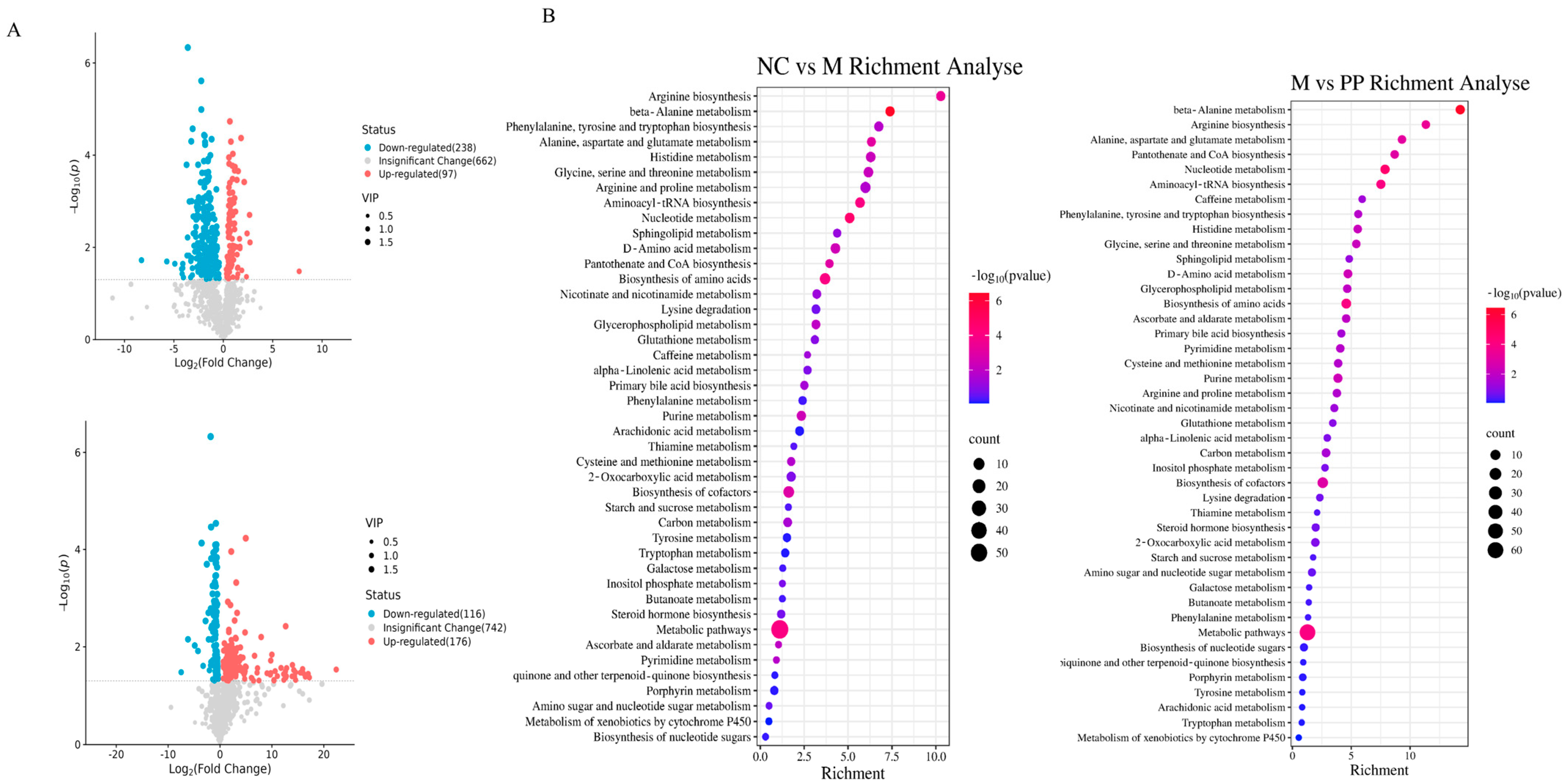 Vetsci 12 00403 g005