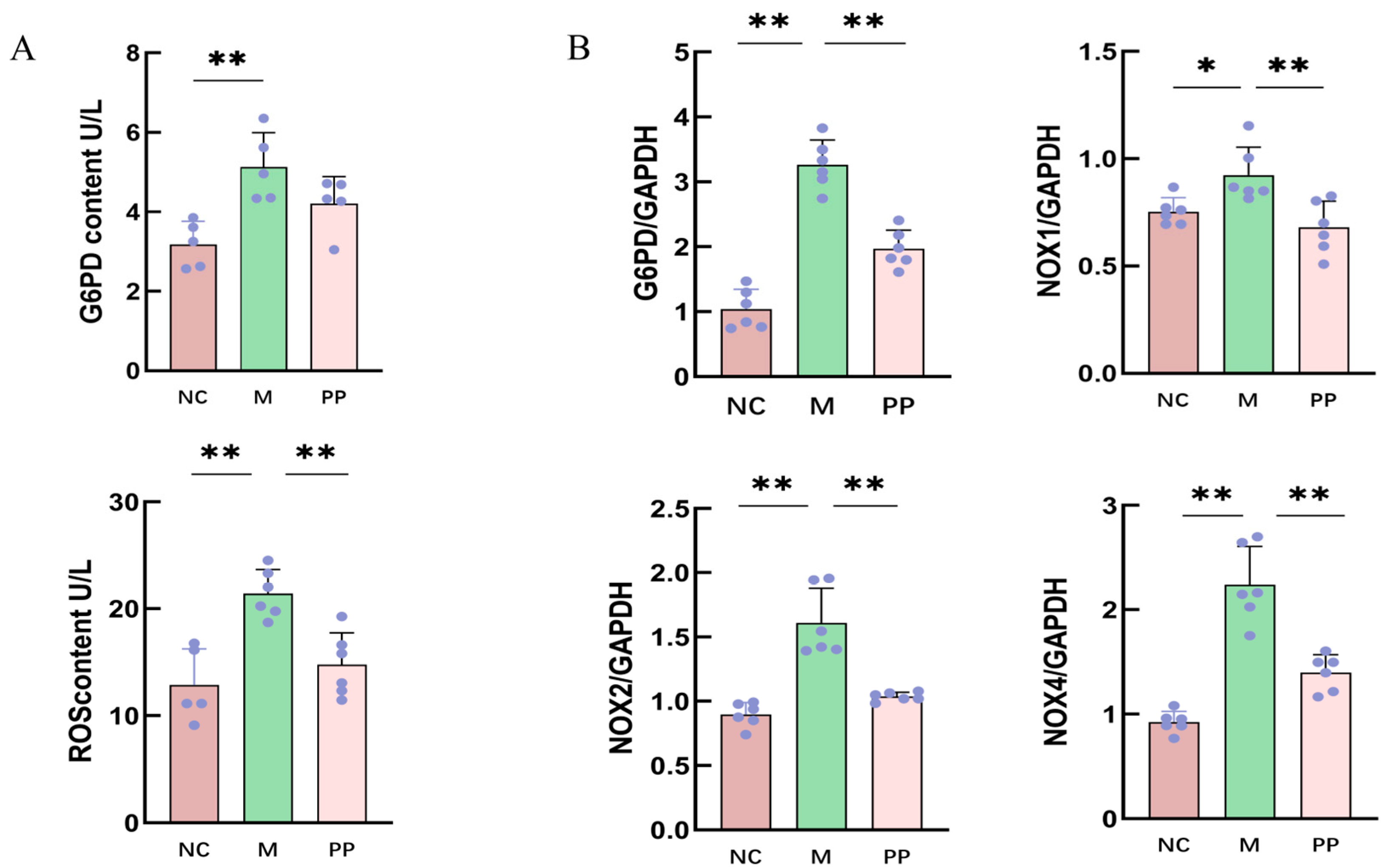 Vetsci 12 00403 g006