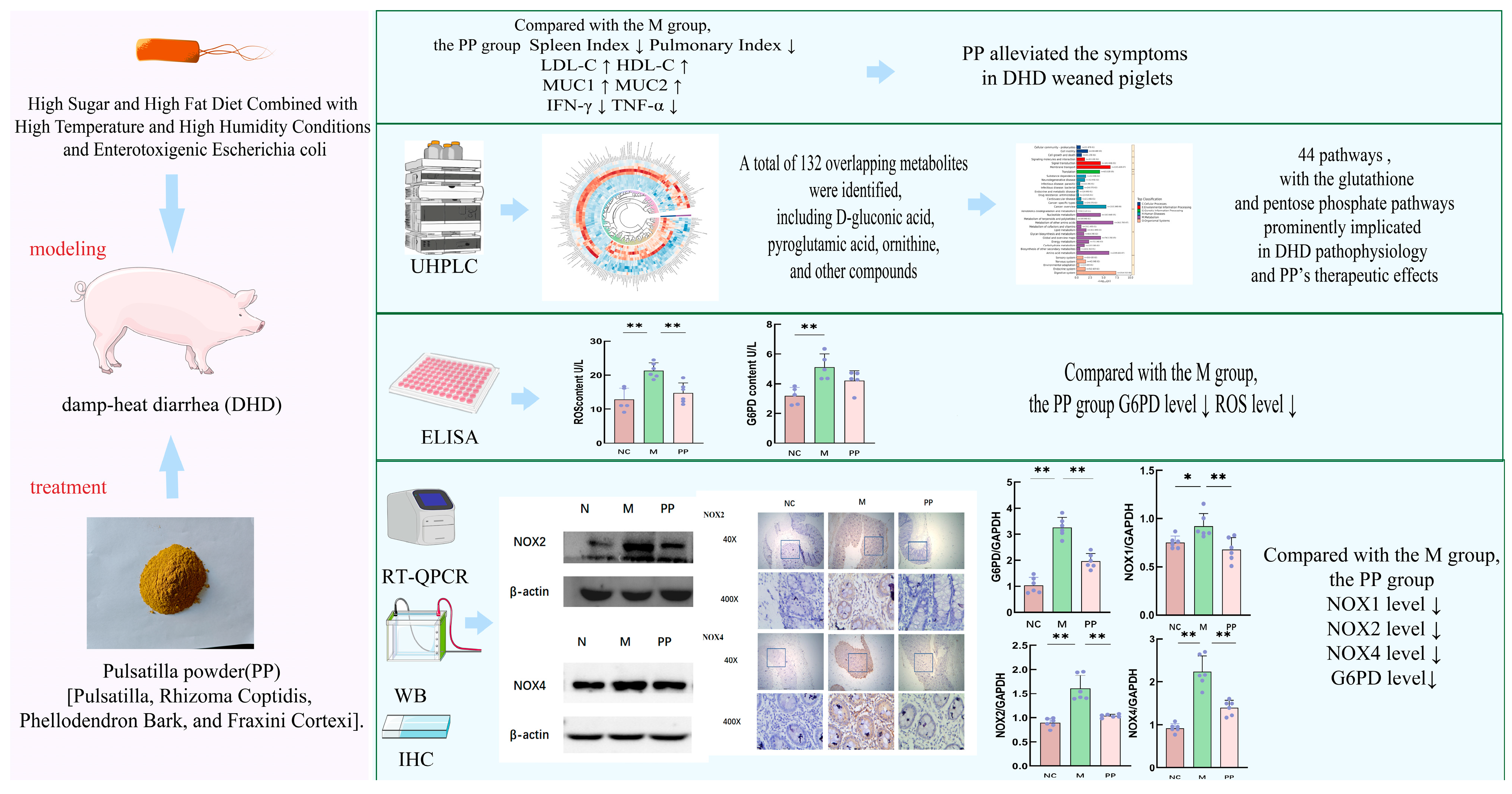 Vetsci 12 00403 g008