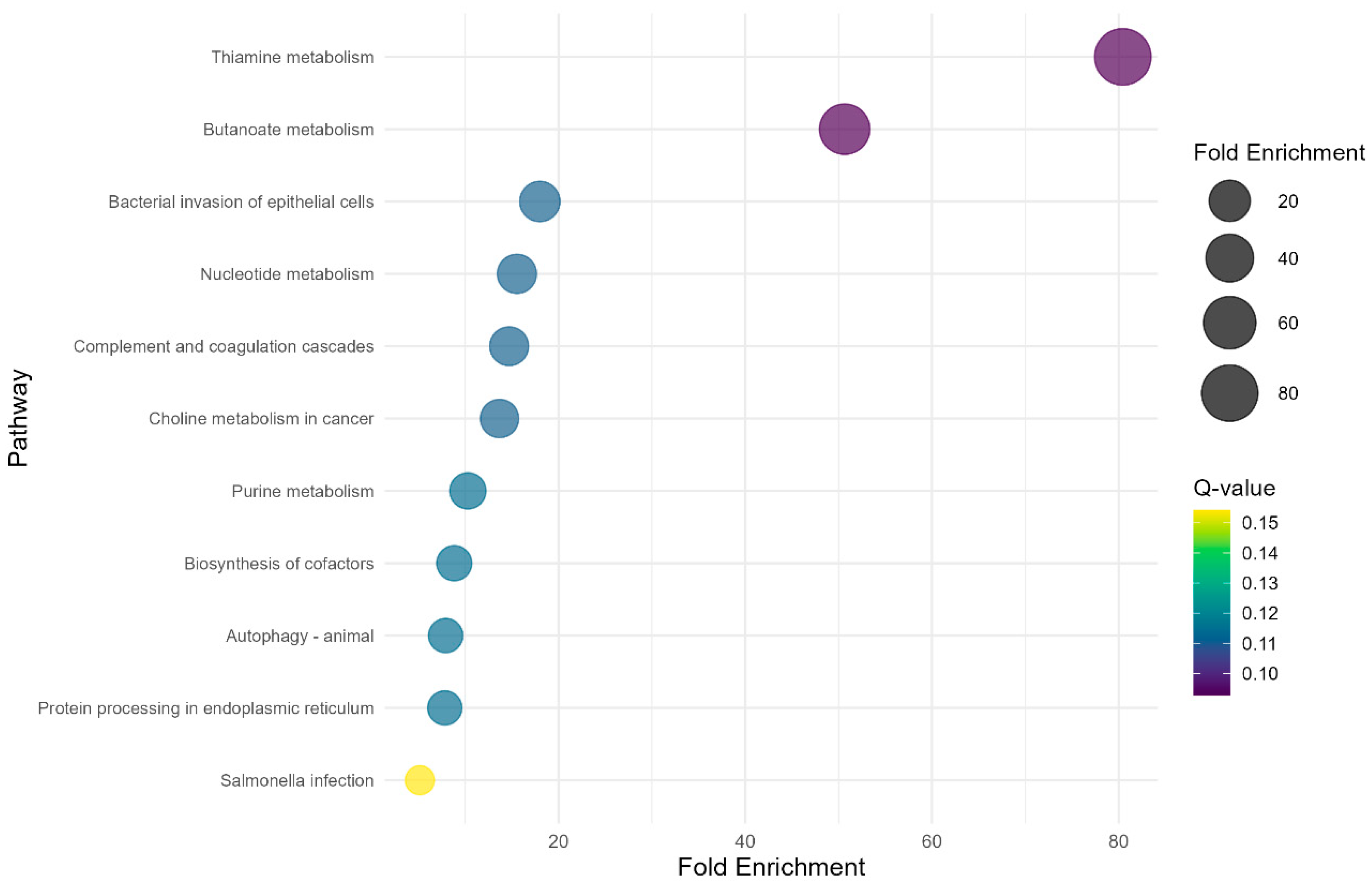 Vetsci 12 00406 g003