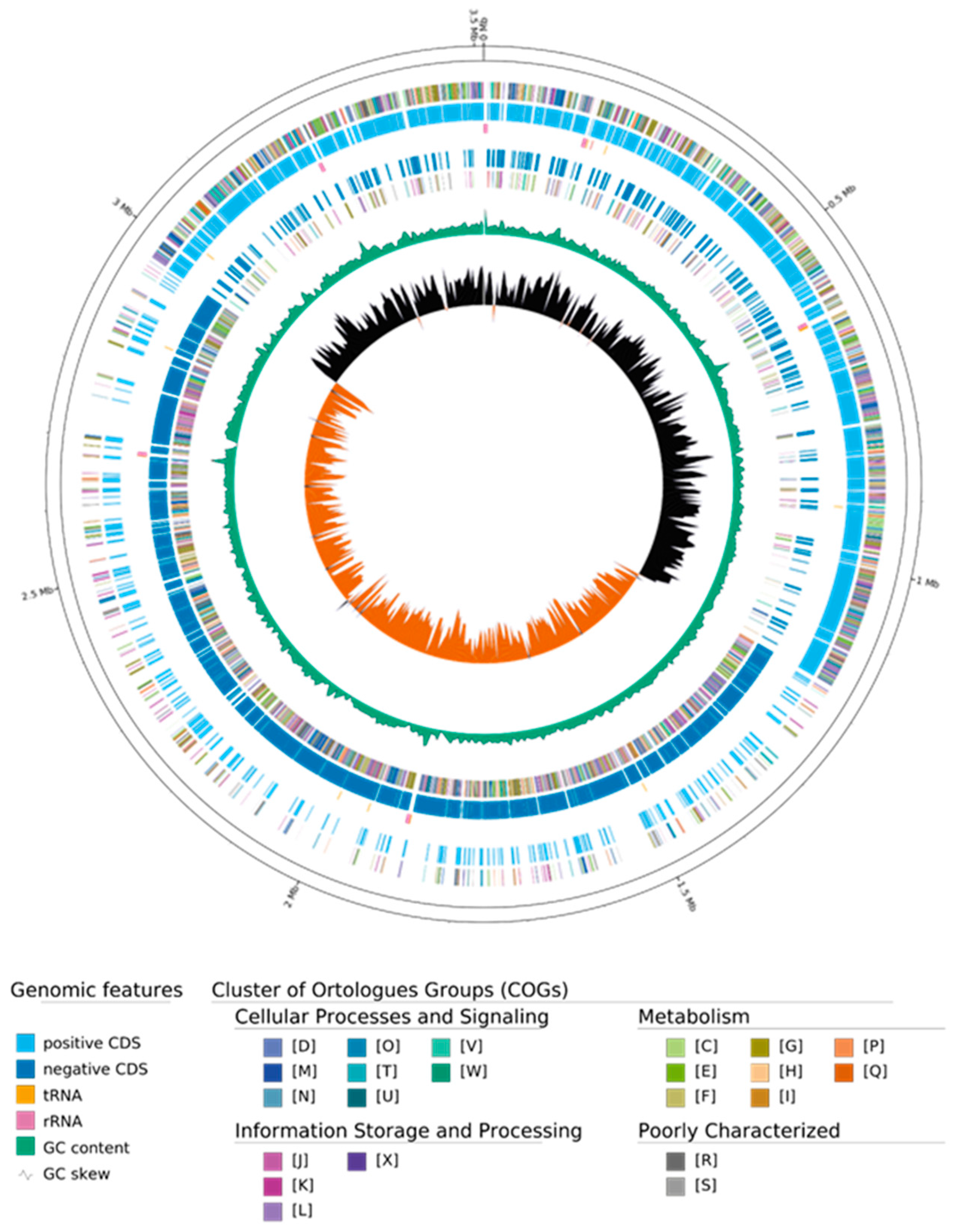 Vetsci 12 00410 g001 Vetsci 12 00410 g001