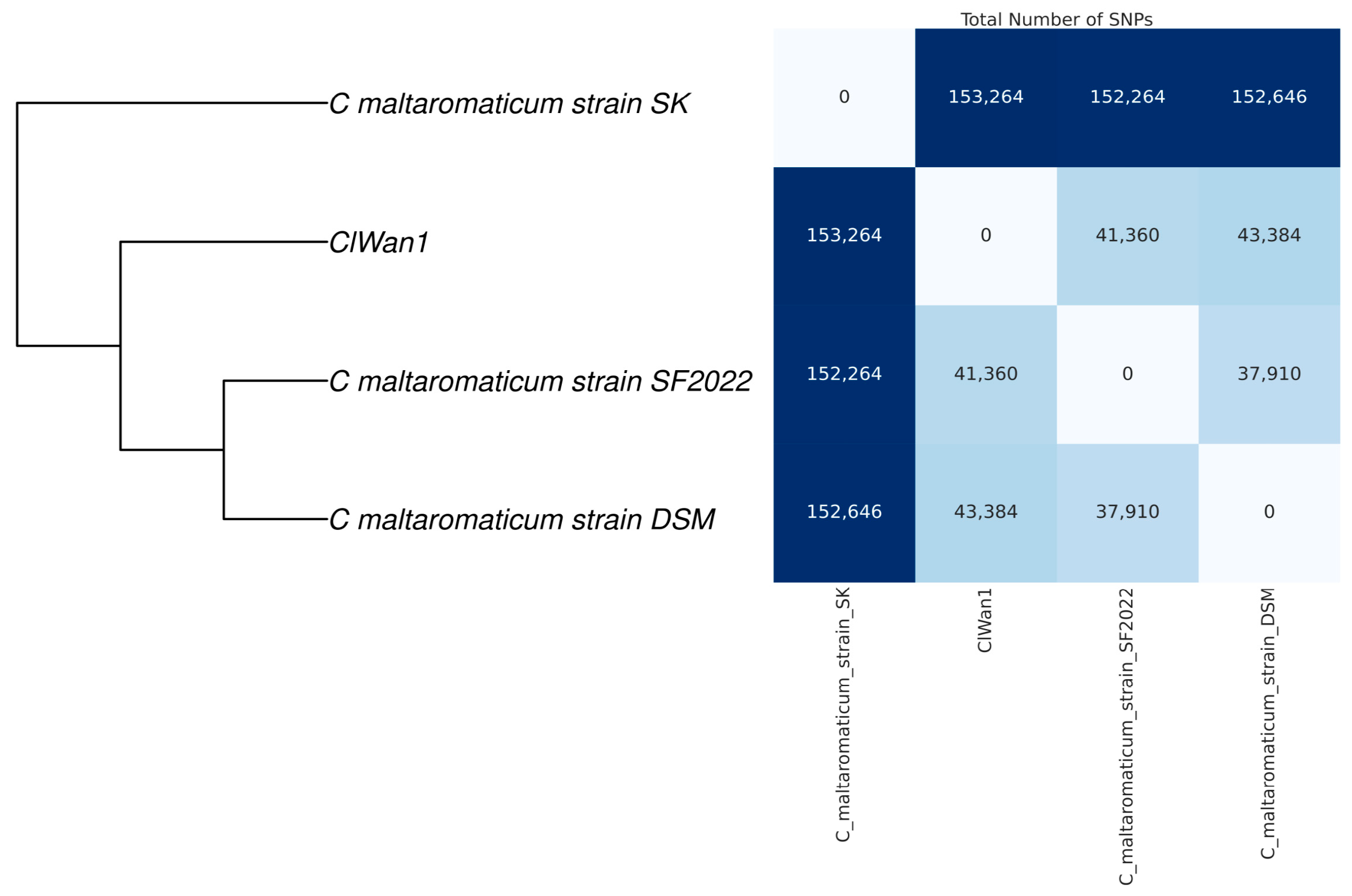 Vetsci 12 00410 g004 Vetsci 12 00410 g004