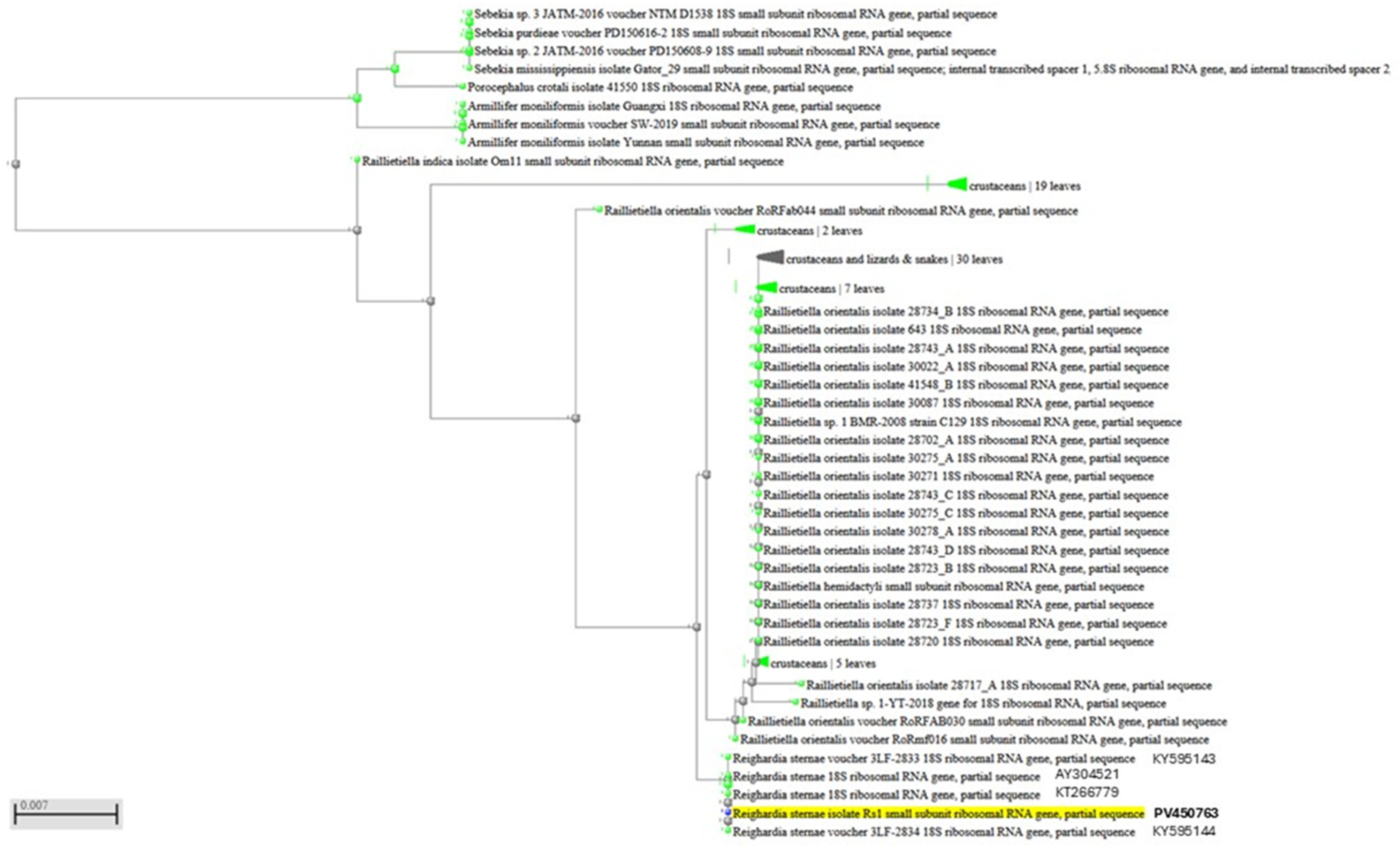 Vetsci 12 00411 g005 Vetsci 12 00411 g005