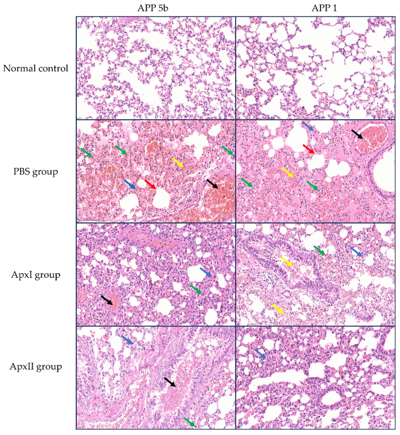 Vetsci 12 00414 g005
