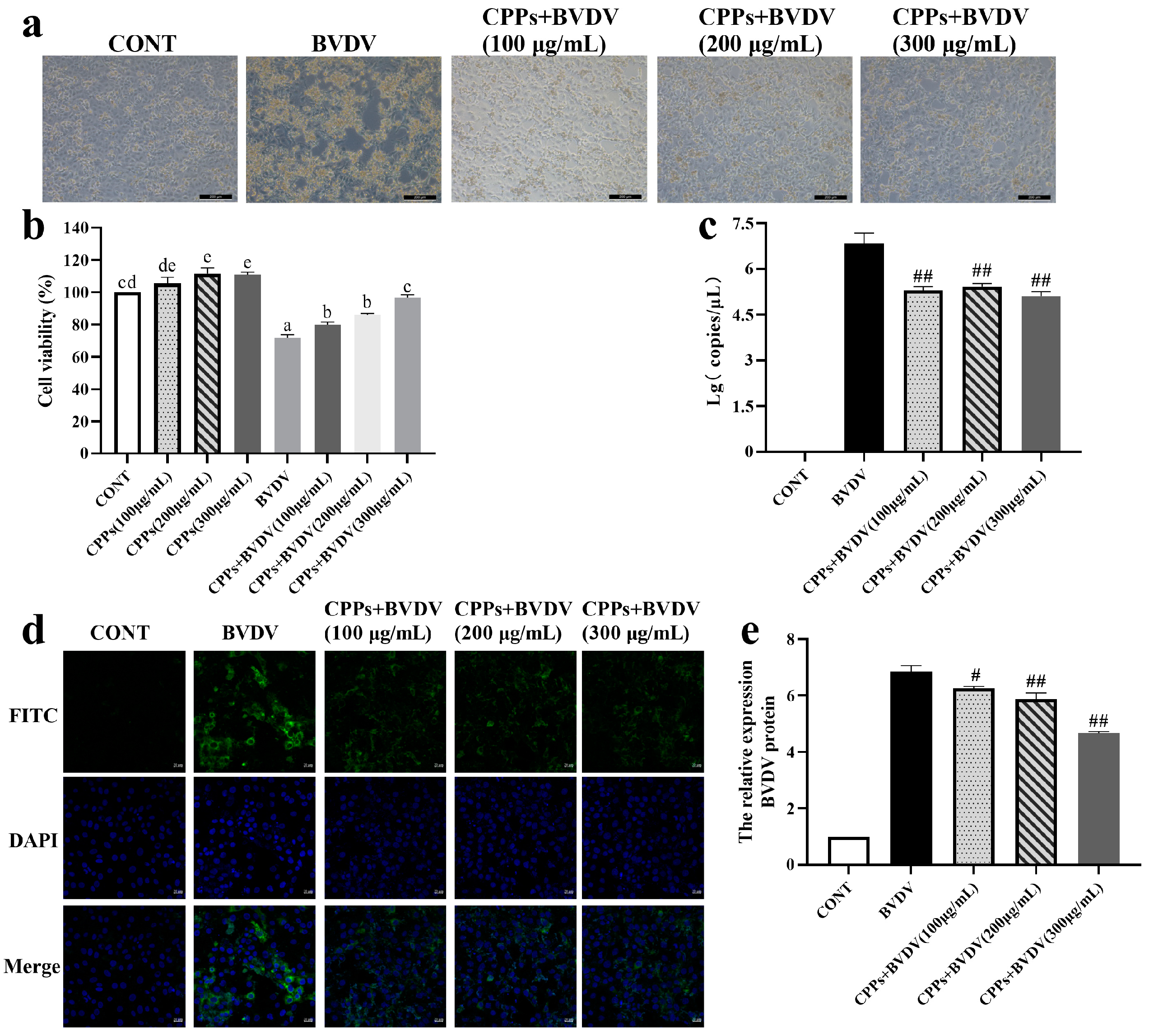 Vetsci 12 00415 g002