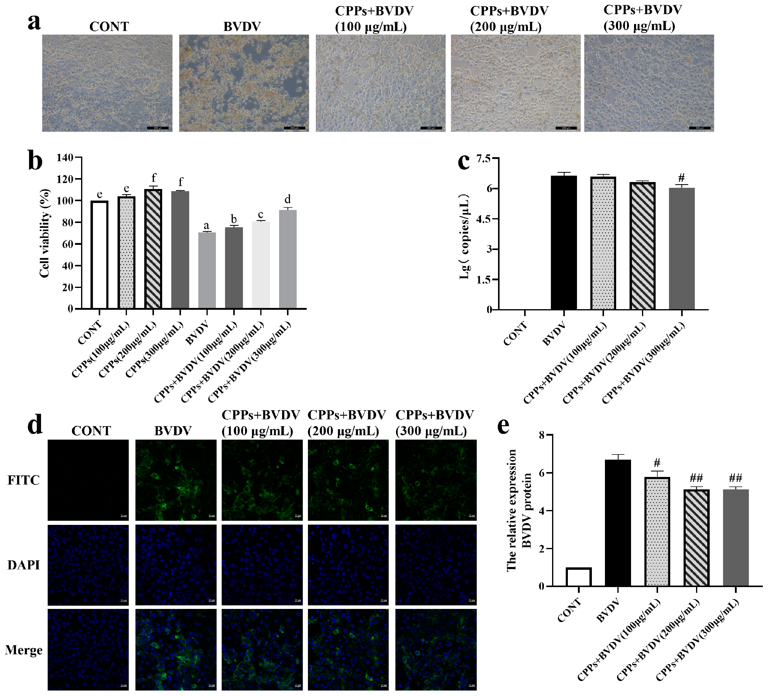 Vetsci 12 00415 g003
