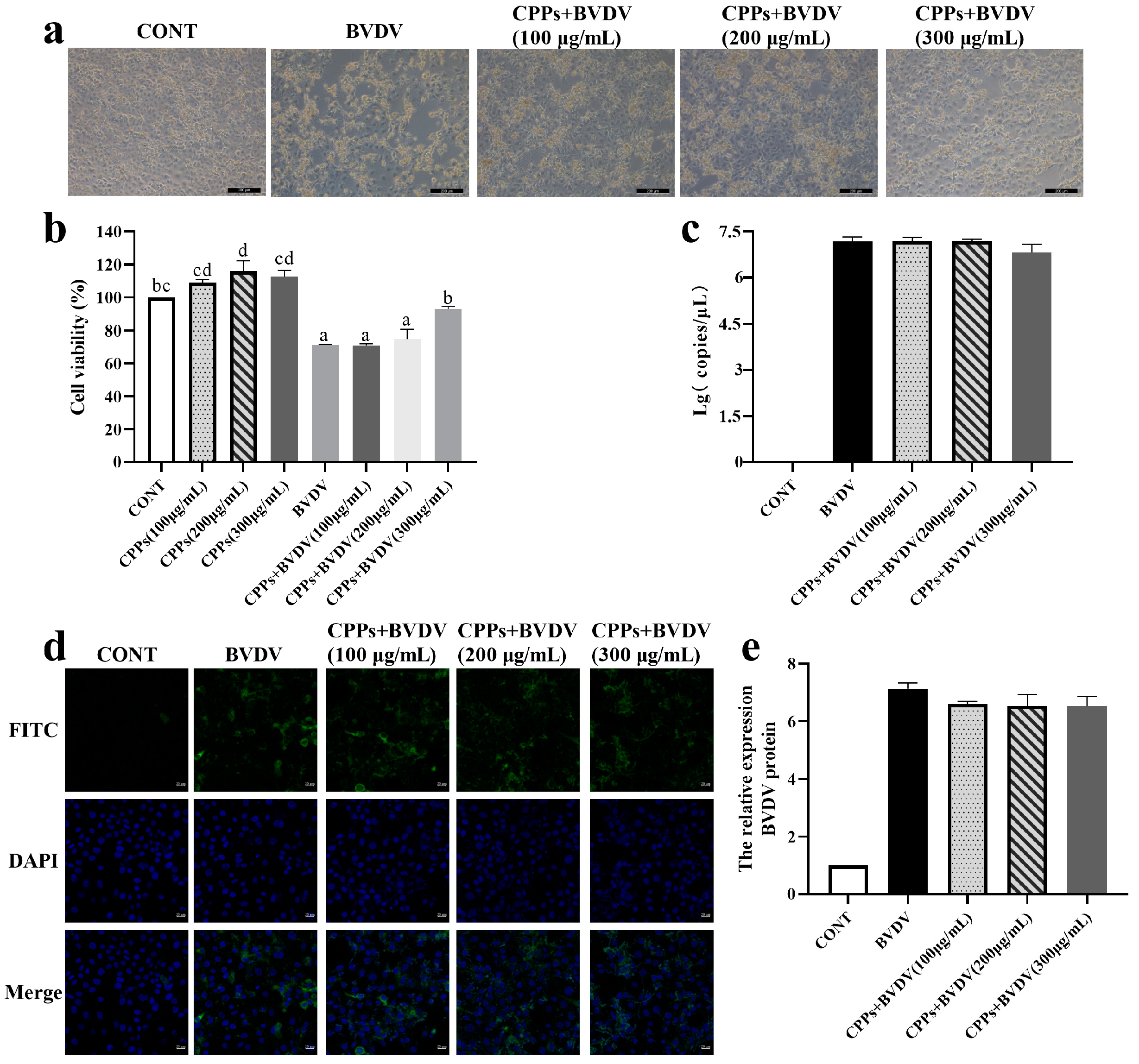 Vetsci 12 00415 g004