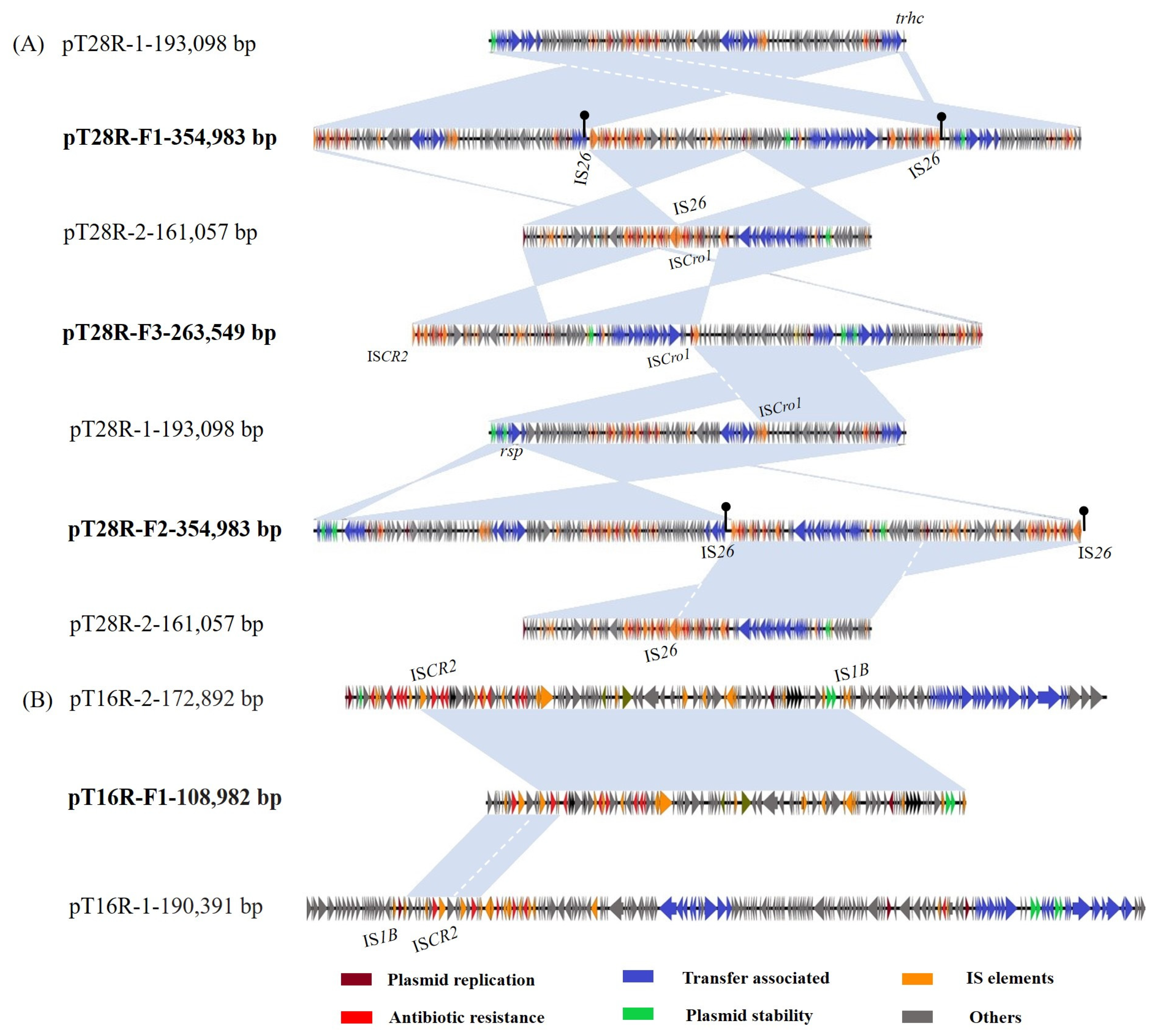 Vetsci 12 00418 g002