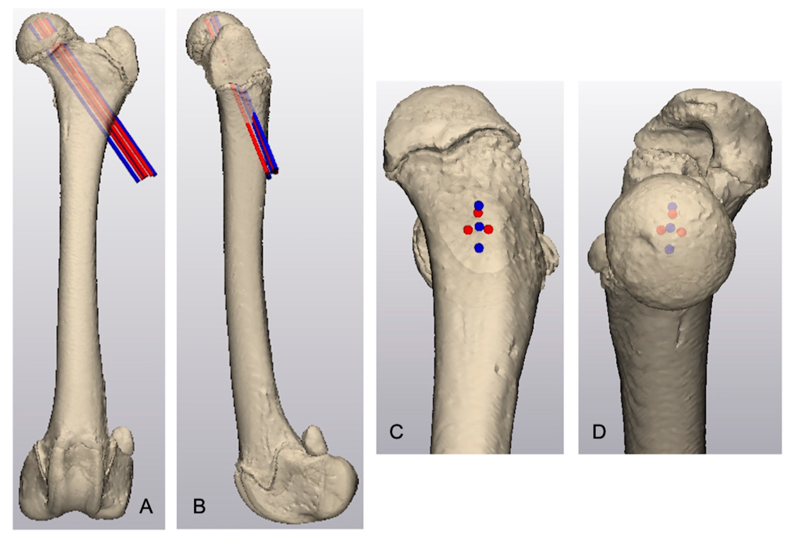 Vetsci 12 00422 g001