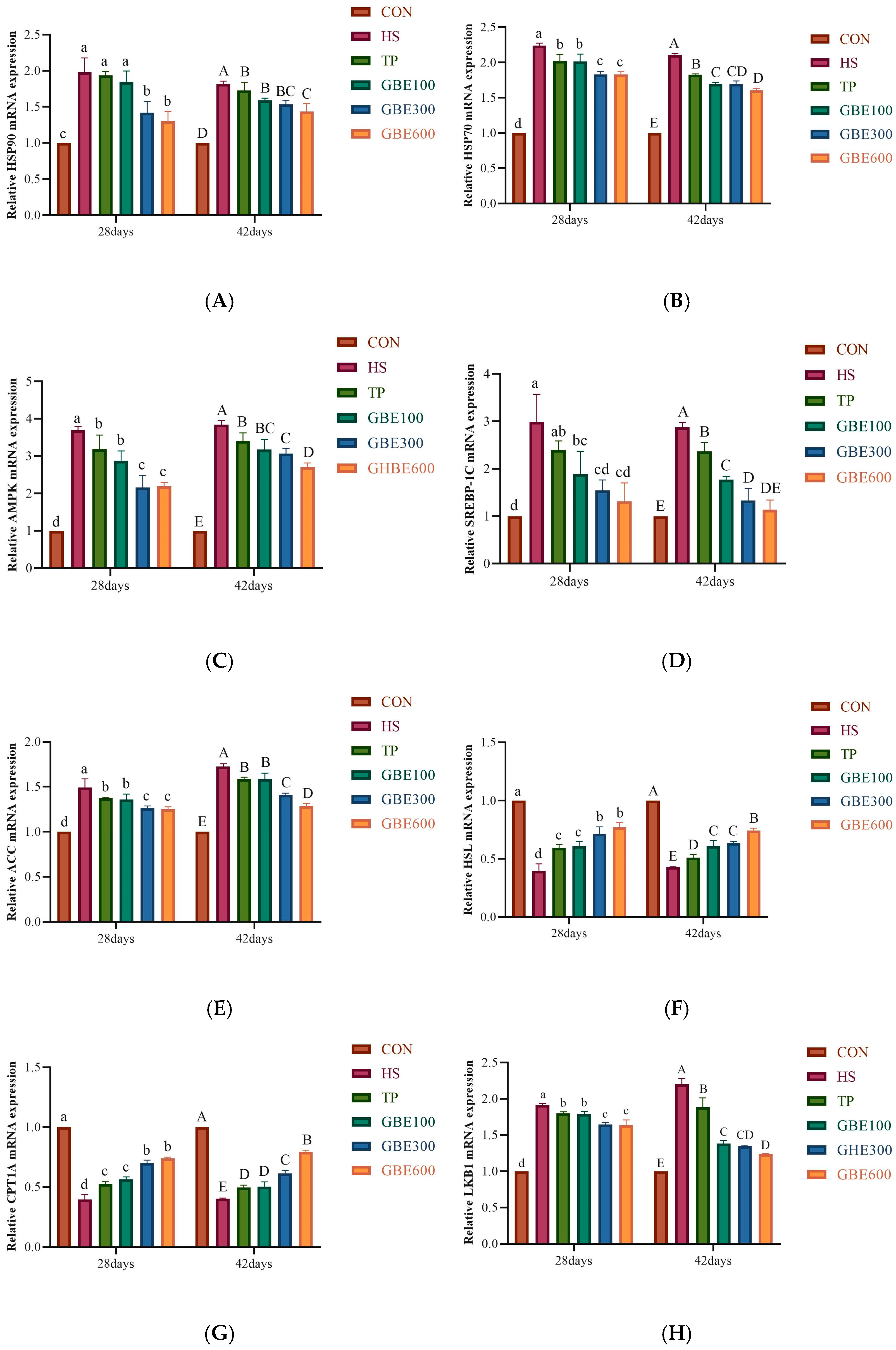 Vetsci 12 00424 g005