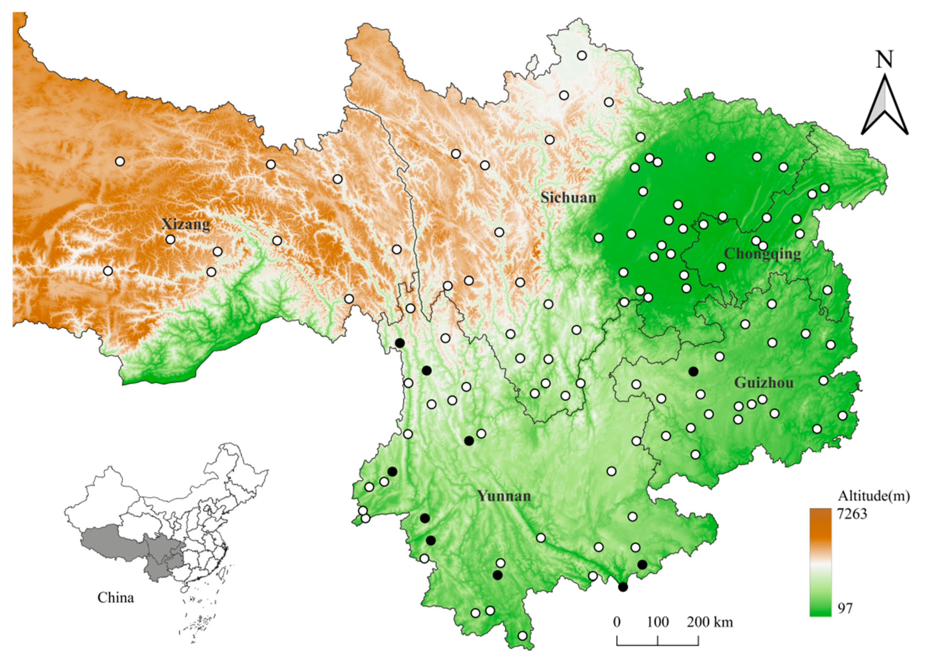 Vetsci 12 00426 g001