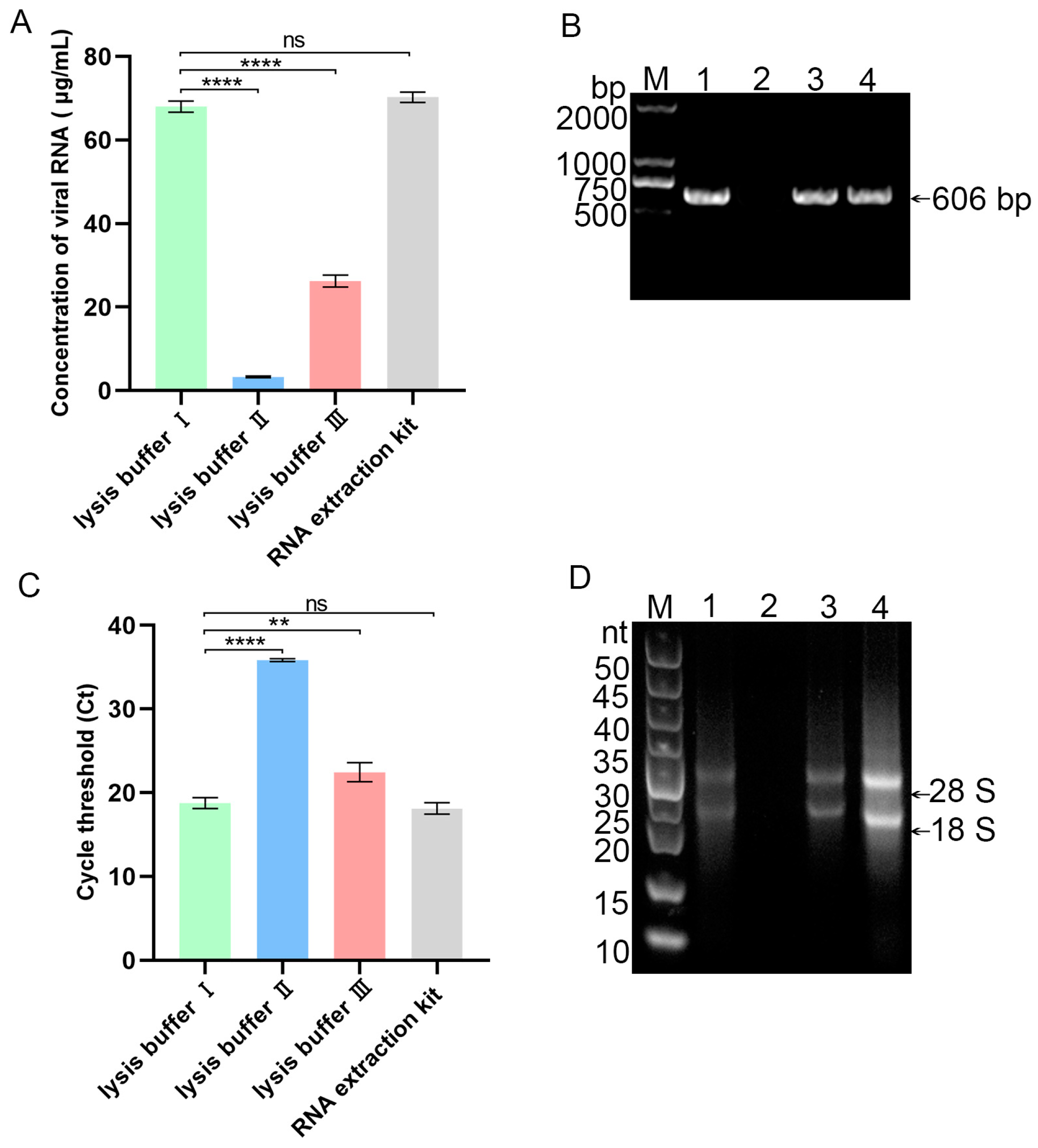 Vetsci 12 00427 g004