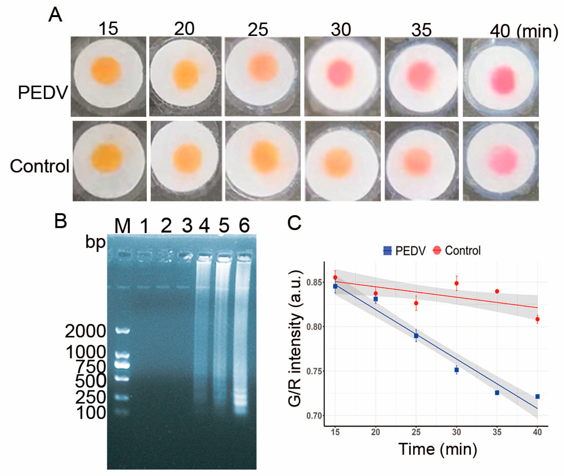 Vetsci 12 00427 g008