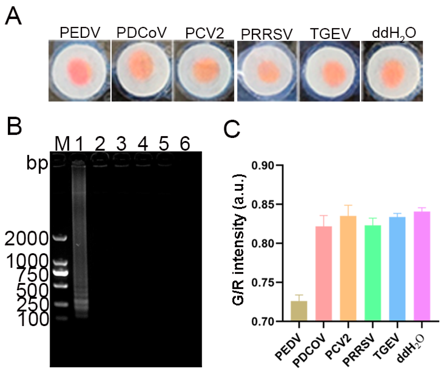Vetsci 12 00427 g009