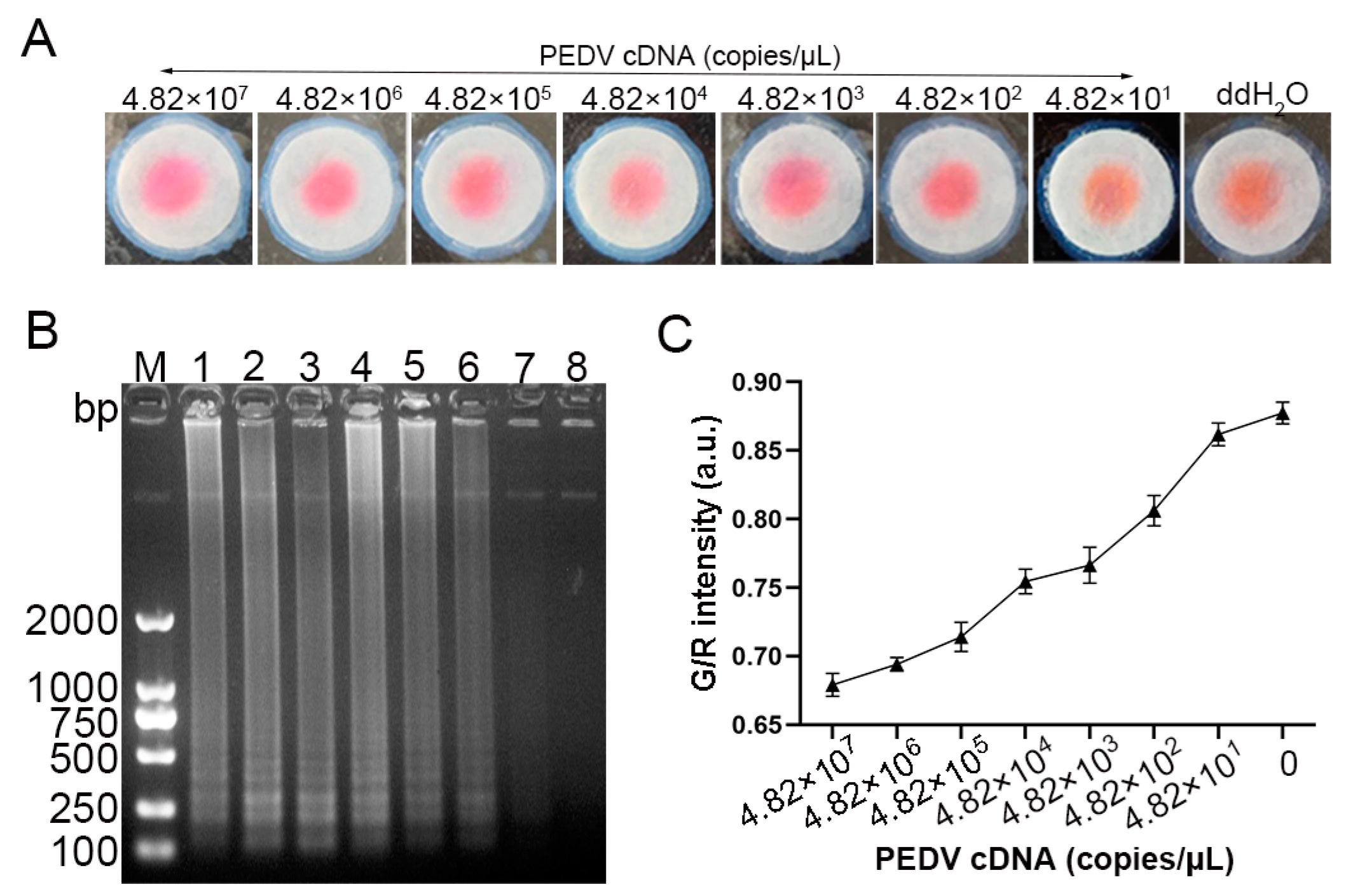 Vetsci 12 00427 g010