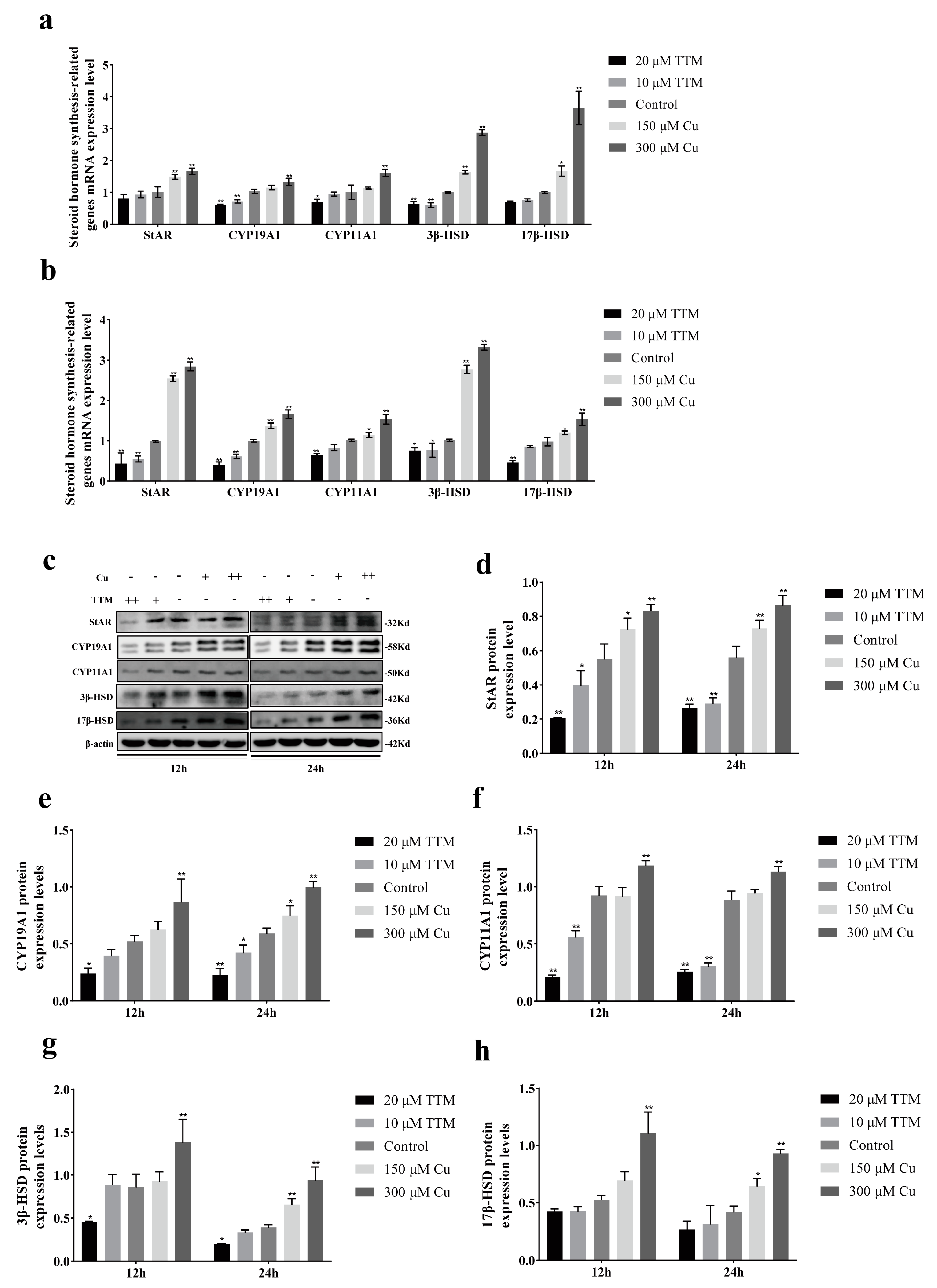 Vetsci 12 00428 g002