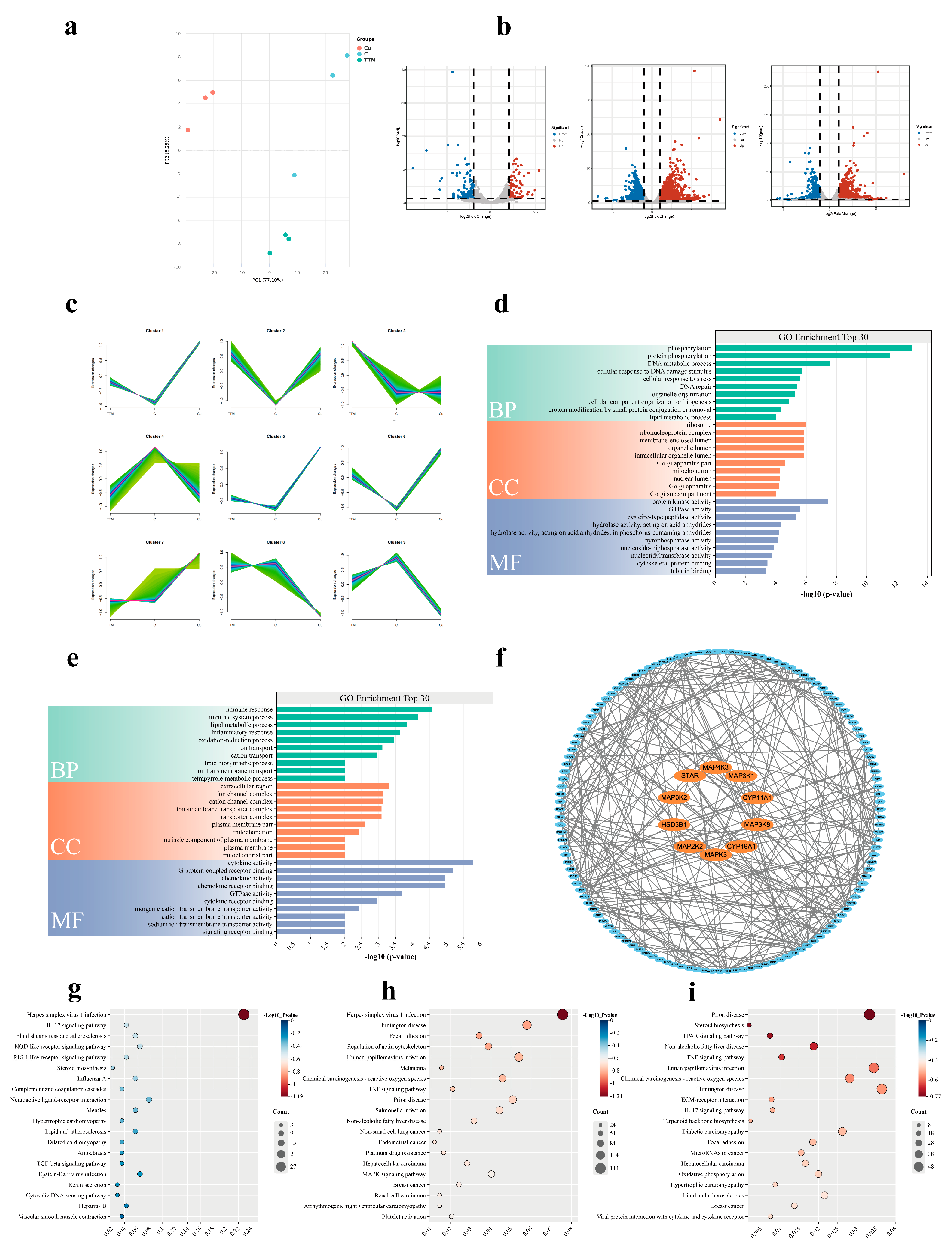 Vetsci 12 00428 g003