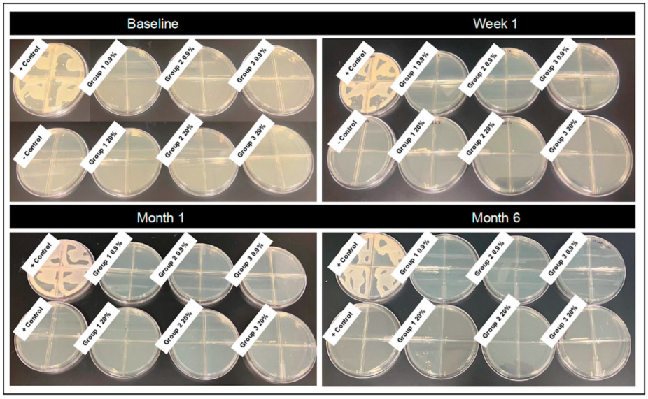 Vetsci 12 00431 g003