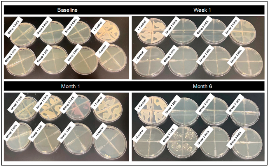 Vetsci 12 00431 g004