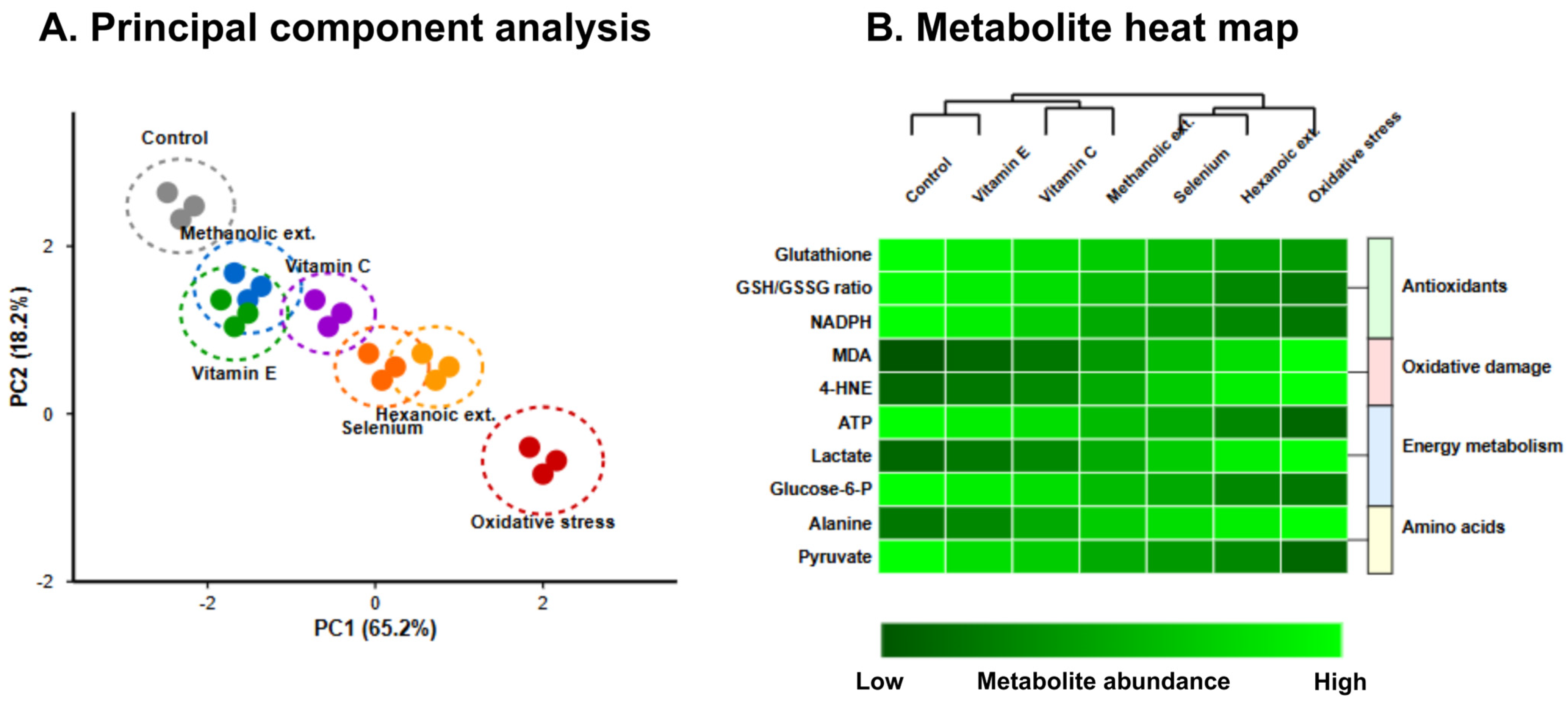 Vetsci 12 00432 g003