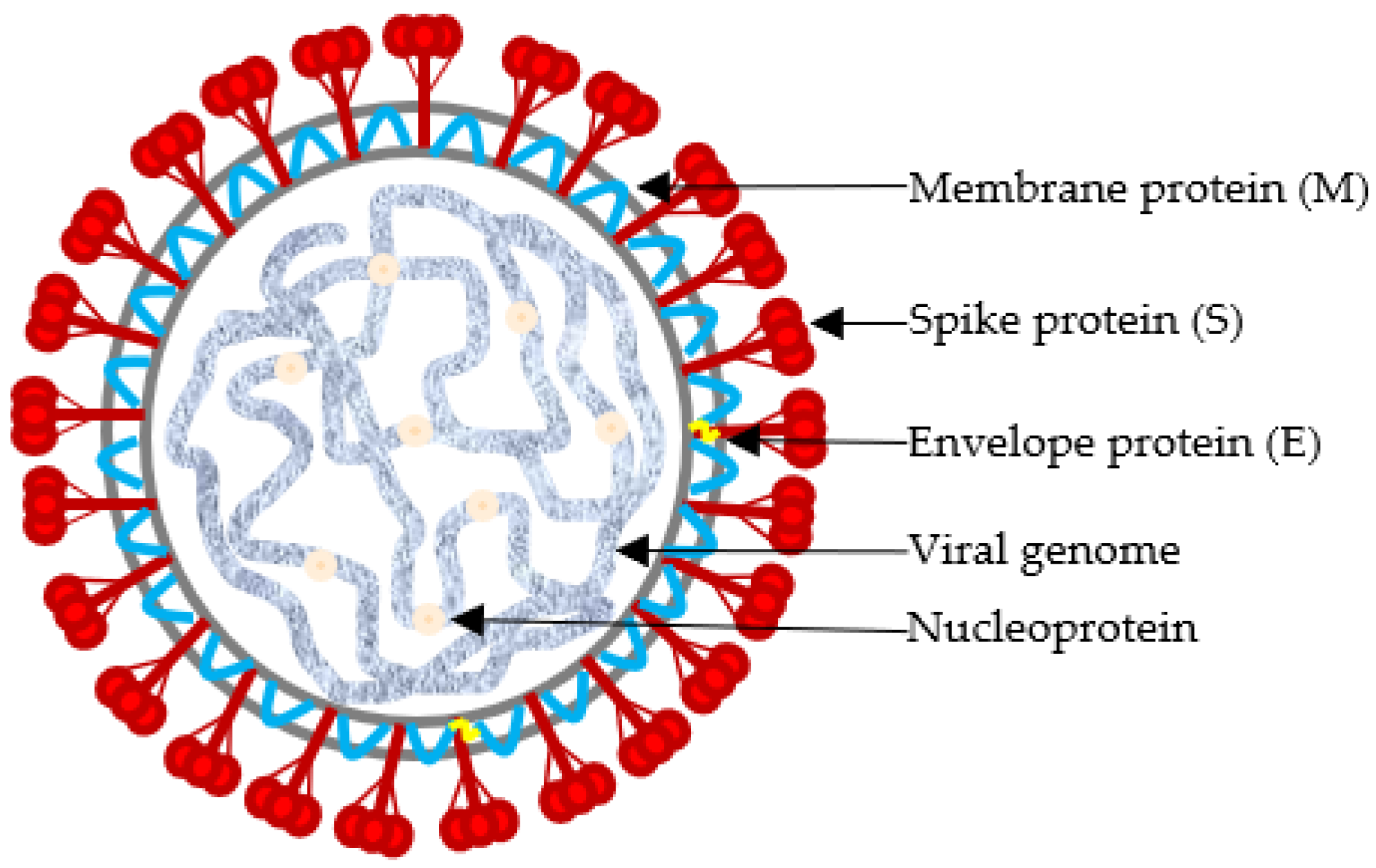 Vetsci 12 00435 g002