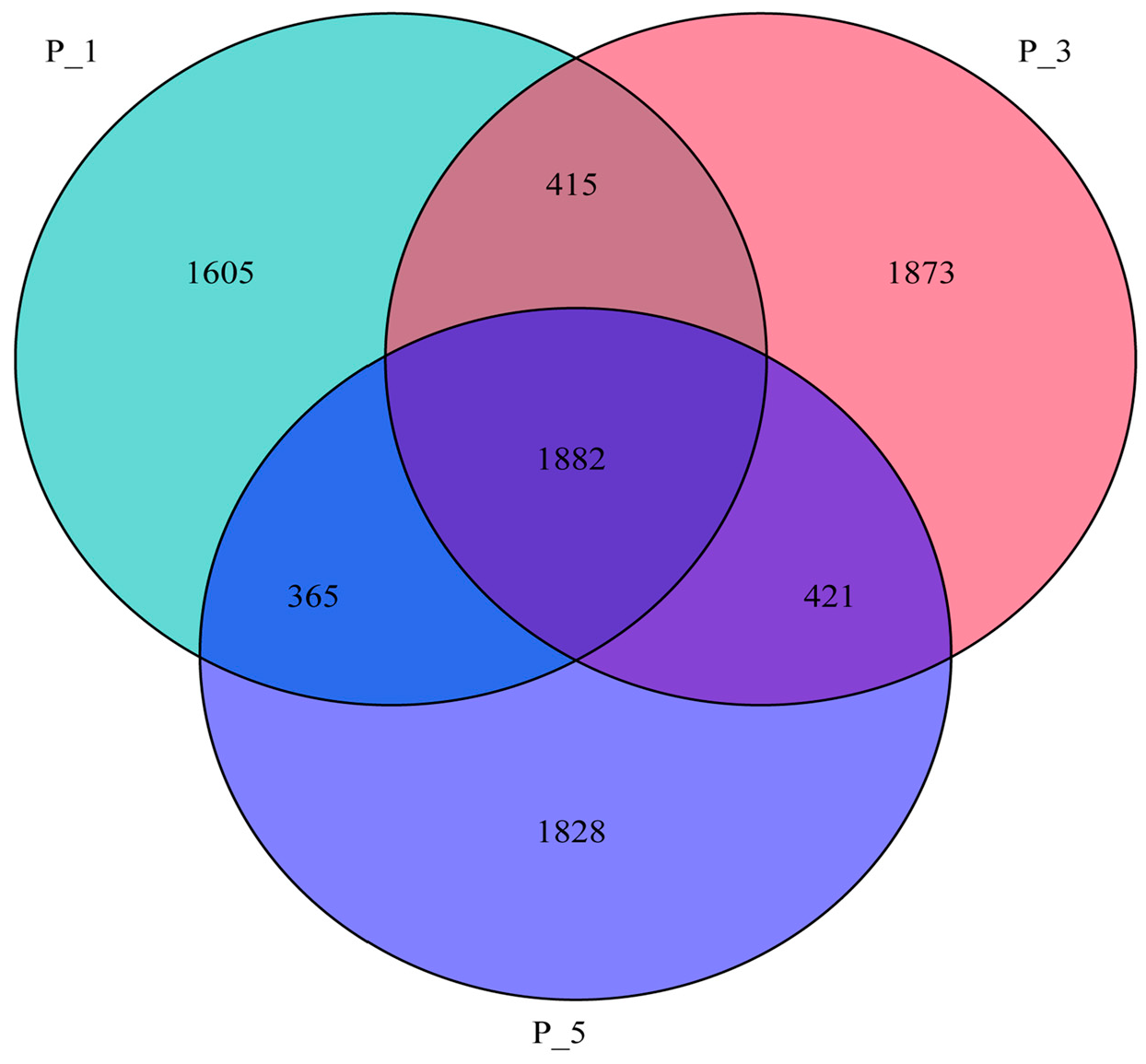Vetsci 12 00440 g001