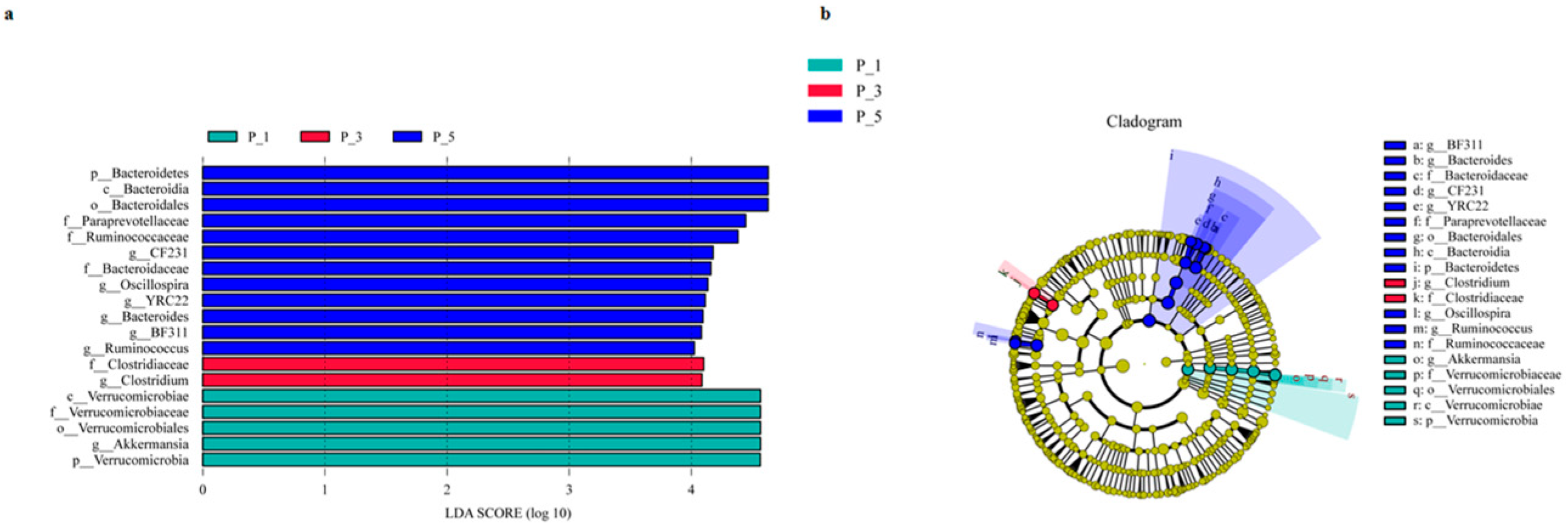 Vetsci 12 00440 g003